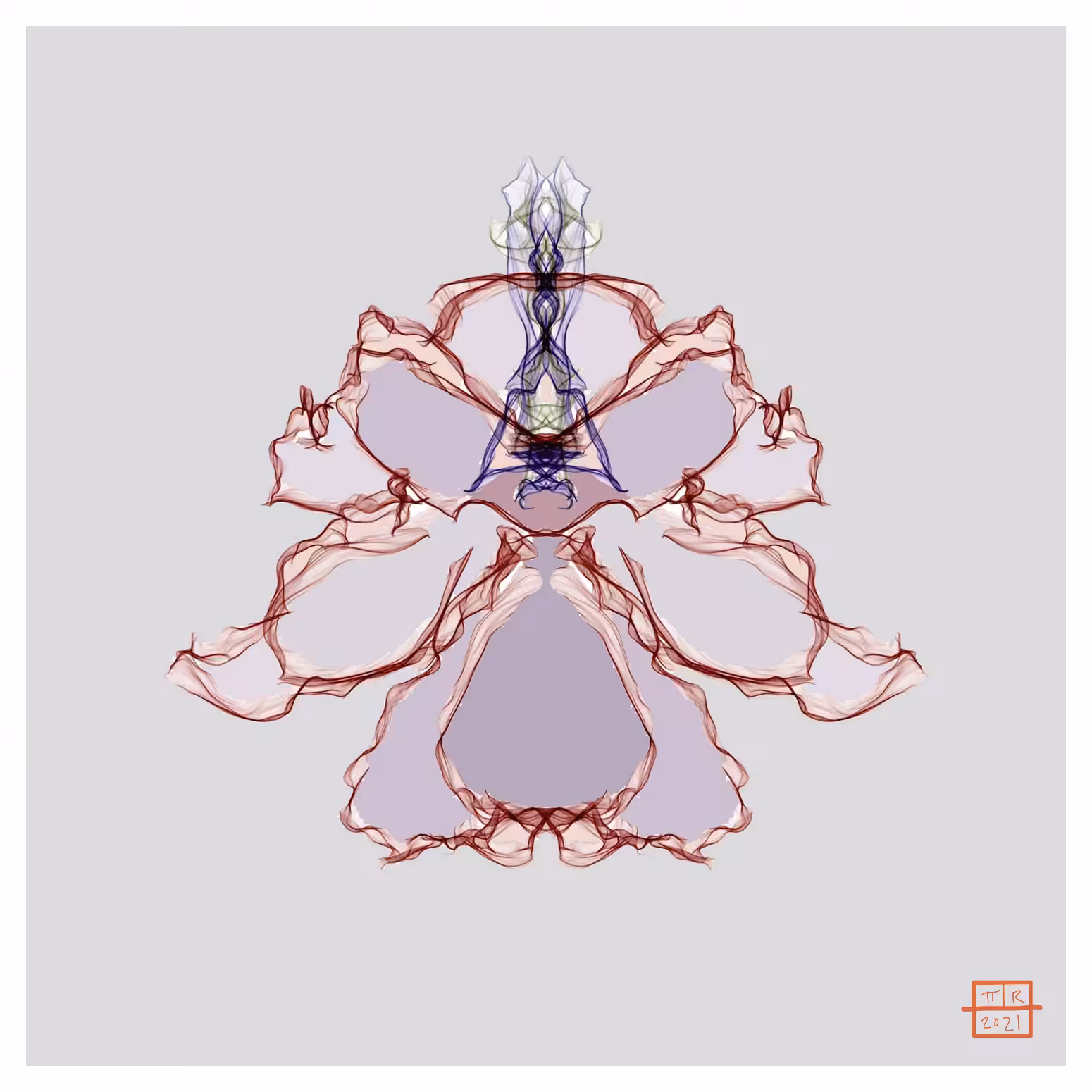French Lilac Iris