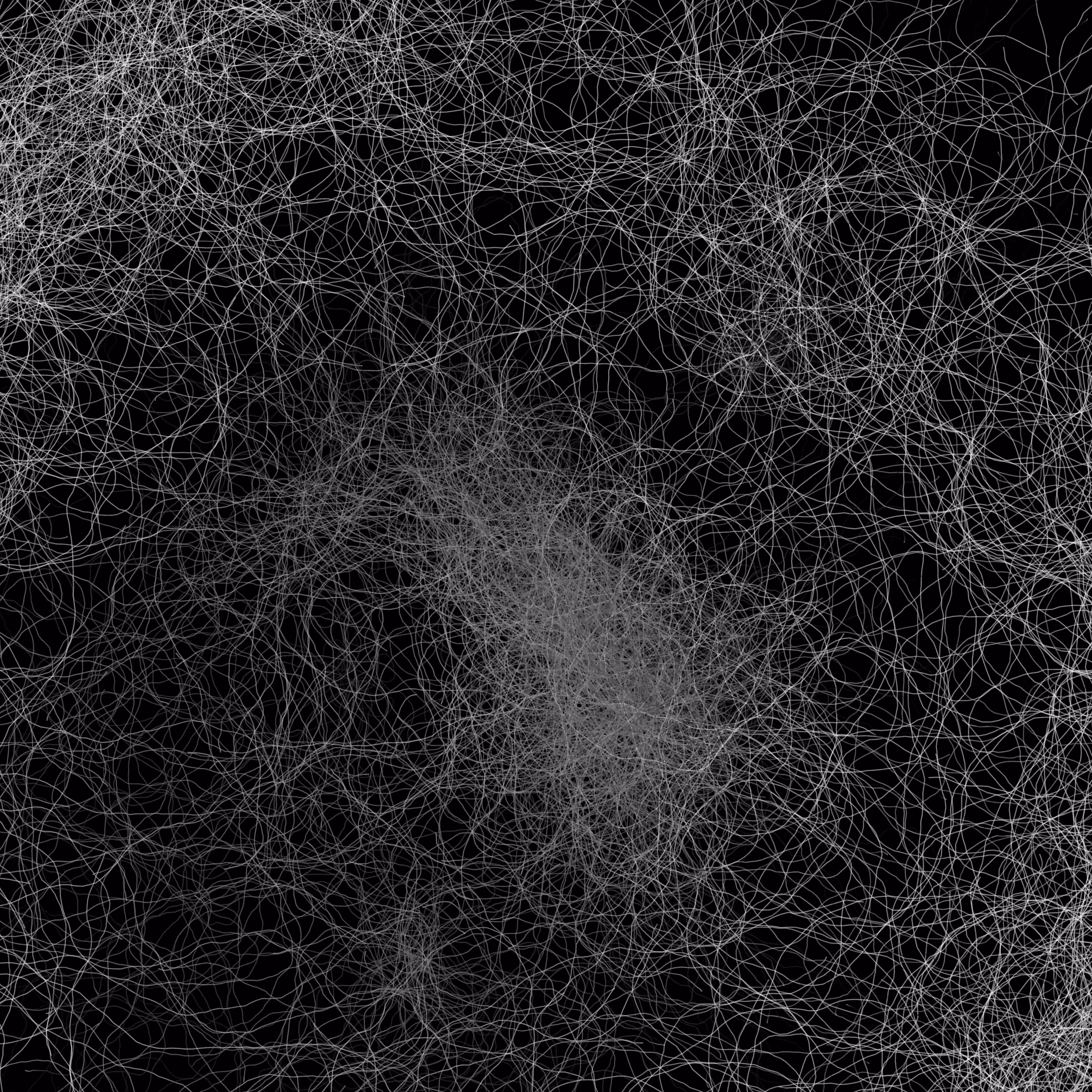 Phototaxis #144