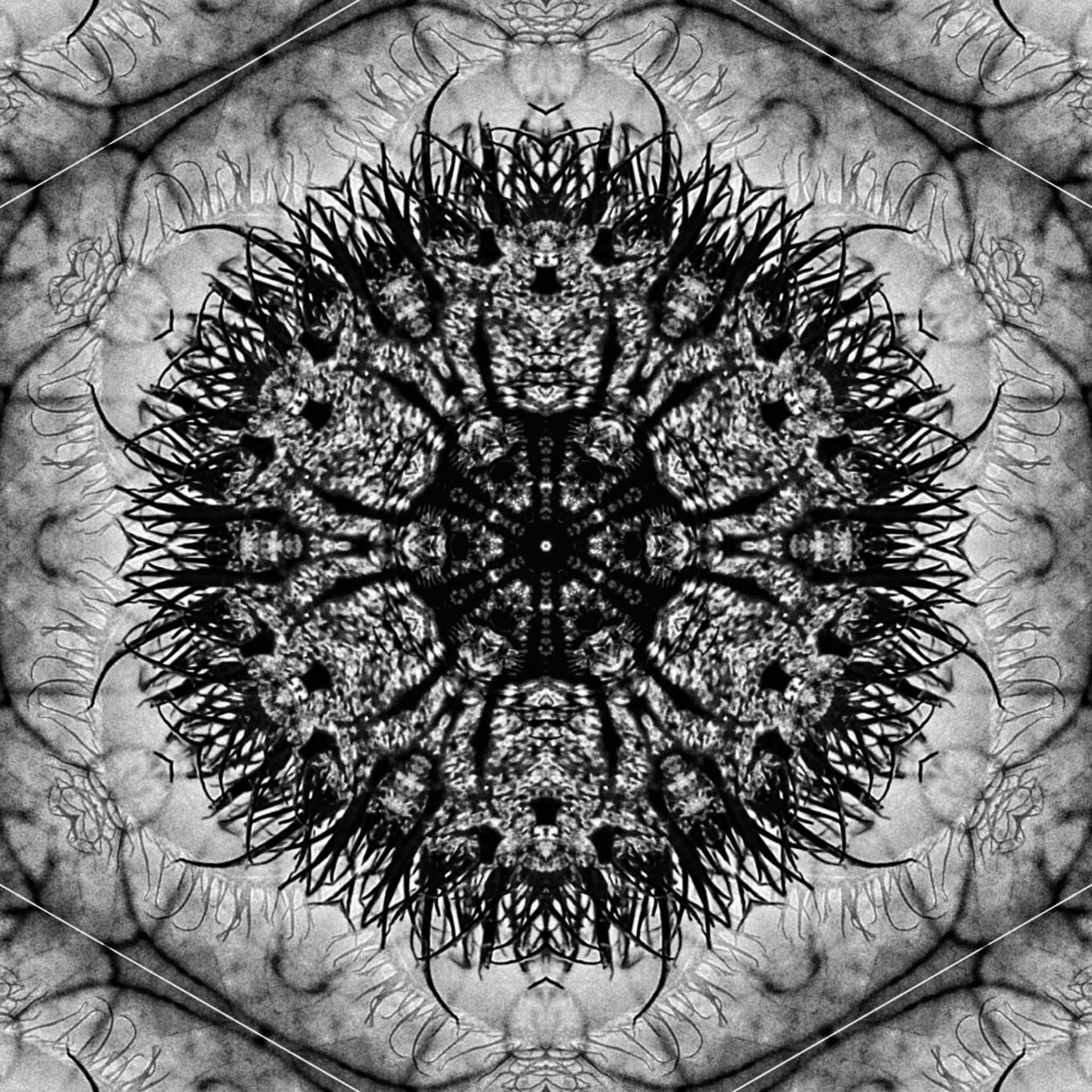 CHANCAGUARICA [Urucum Altered Patterns #5]