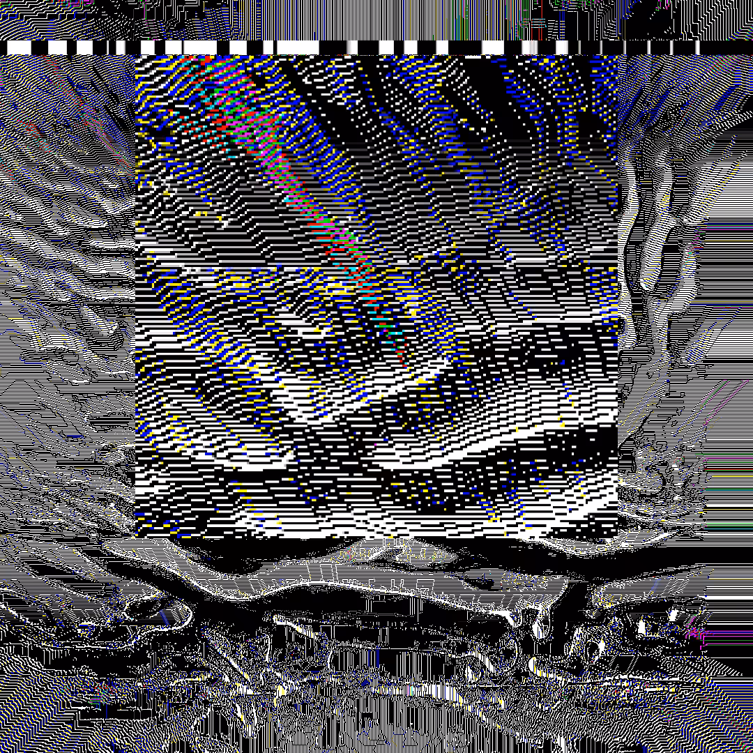 nearest neighbor - genesis  #88
