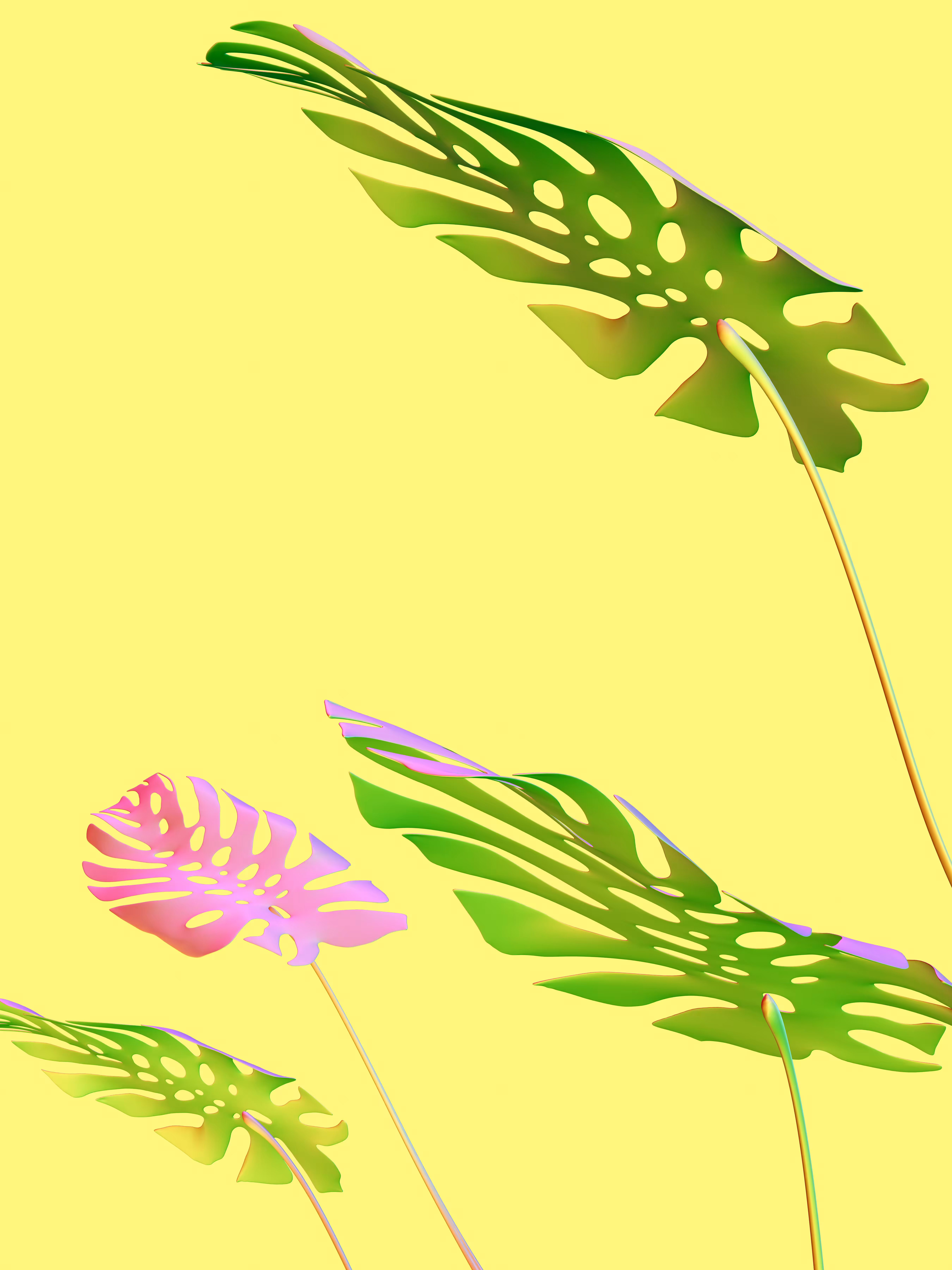 Botanica | 03