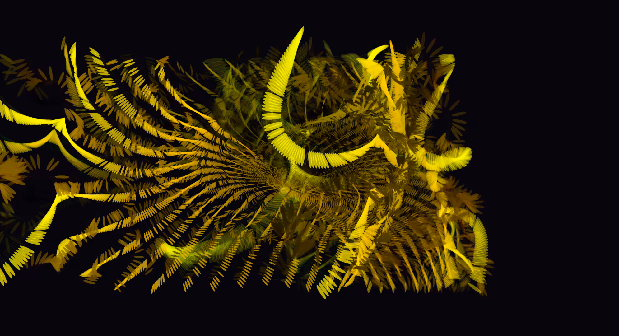Feather Dance
