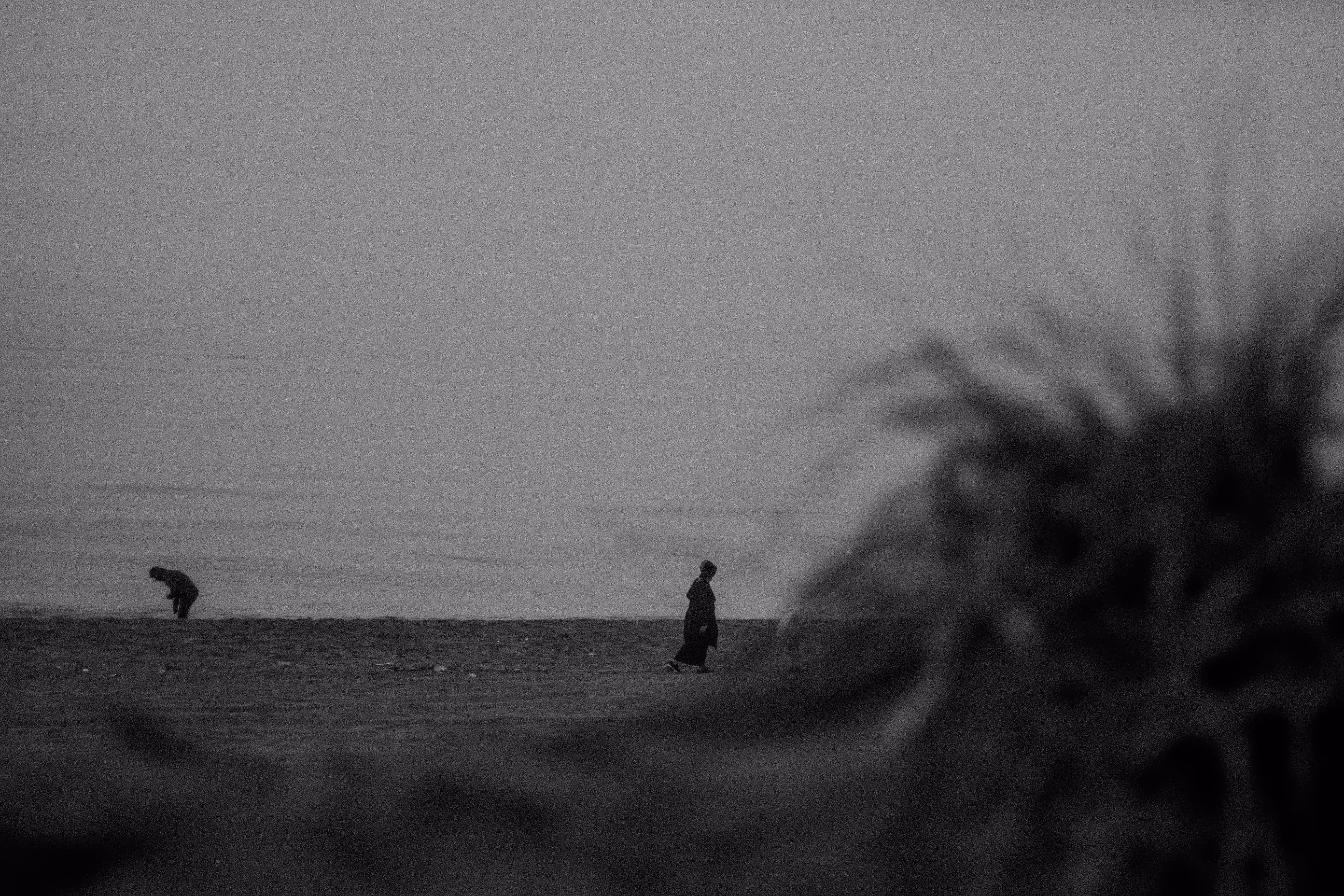 nothing to find
