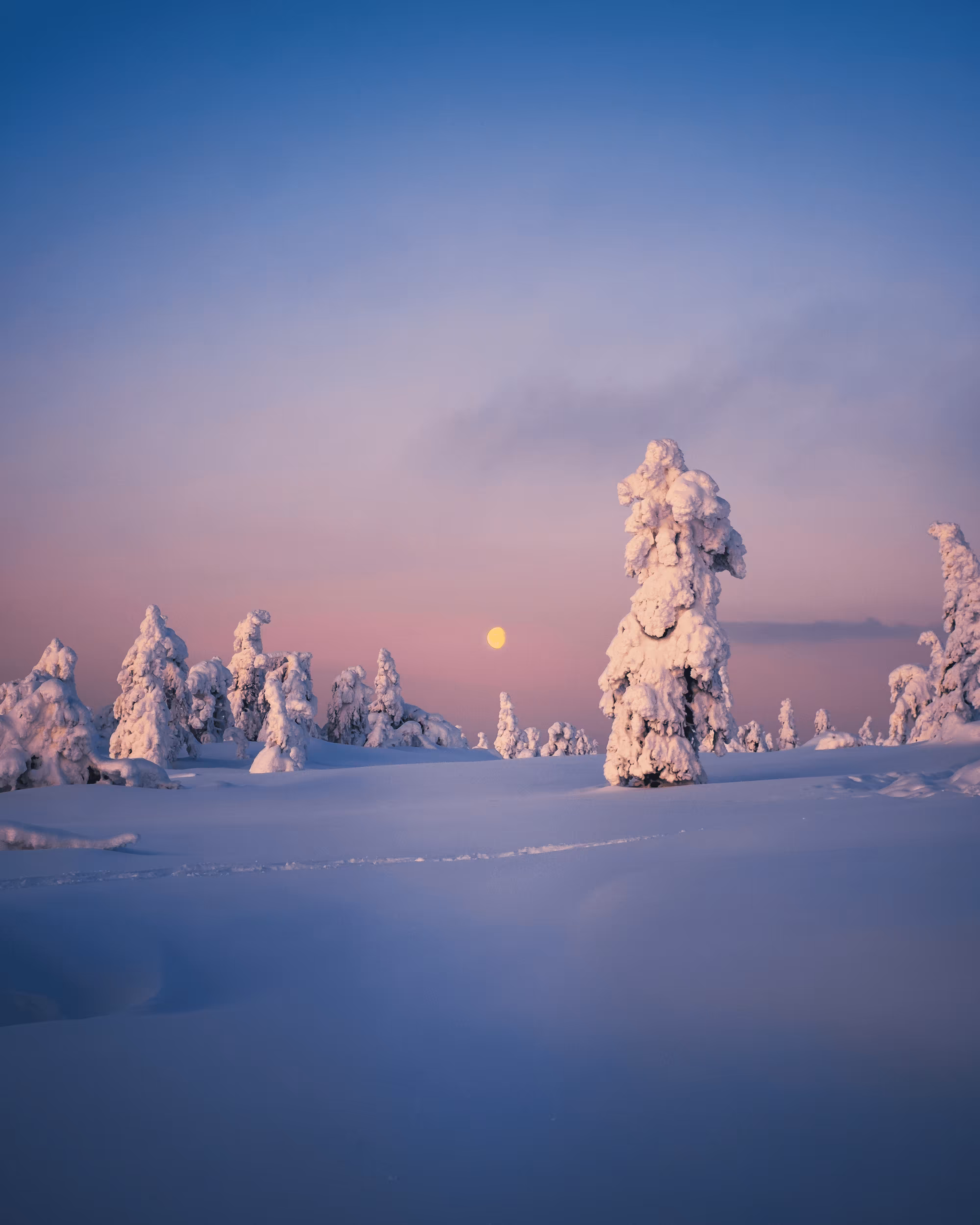 Peaceful night
