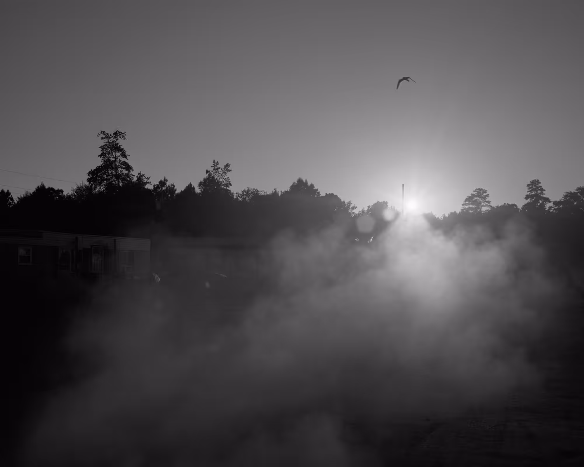 One Sun, One Shadow #33