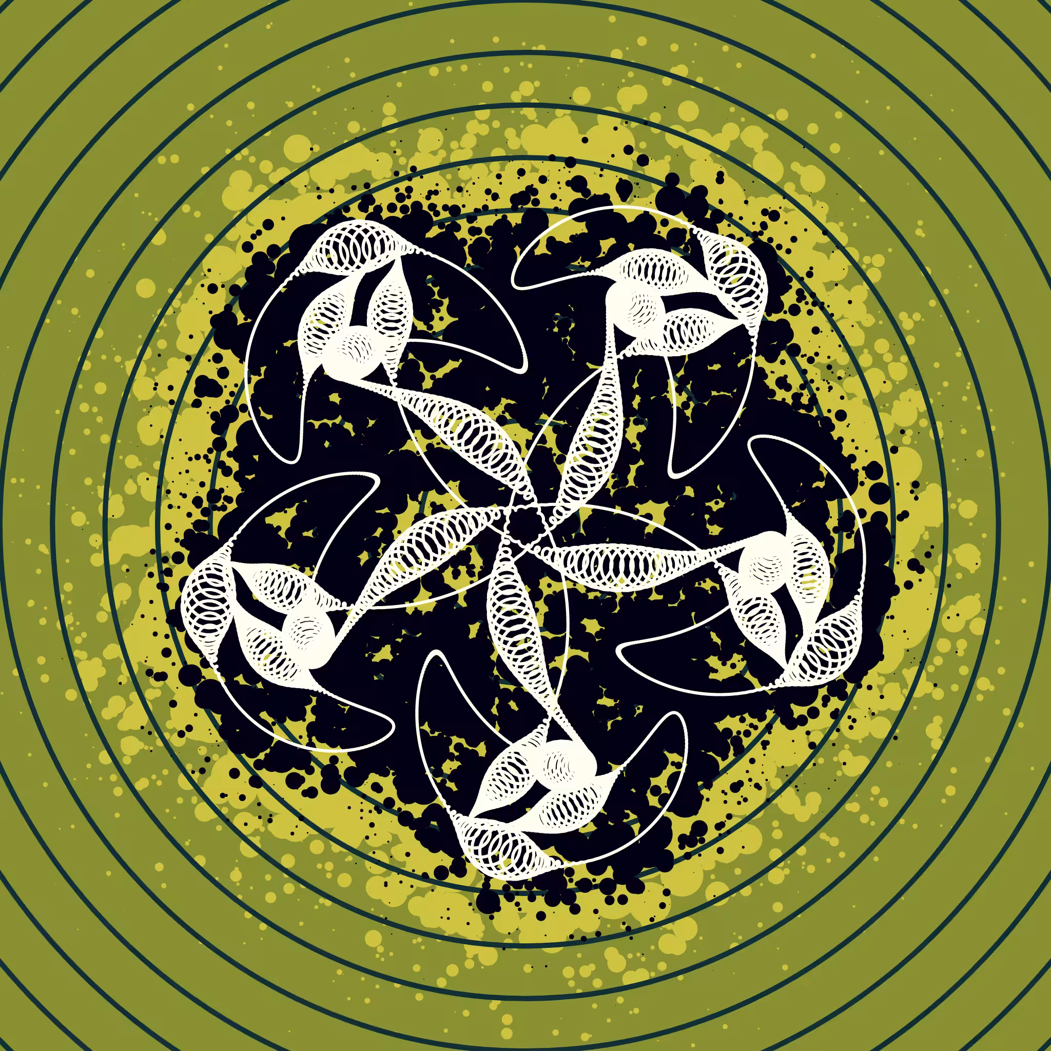 EPIHYPERDERPFLARDIOIDS #202