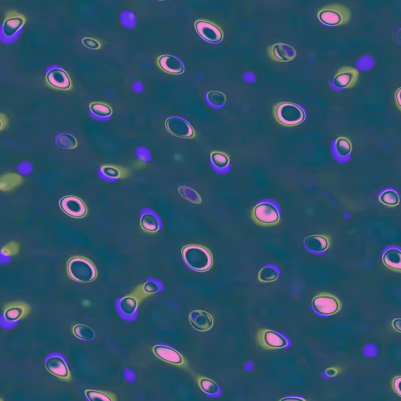 Mystery Blobs #7