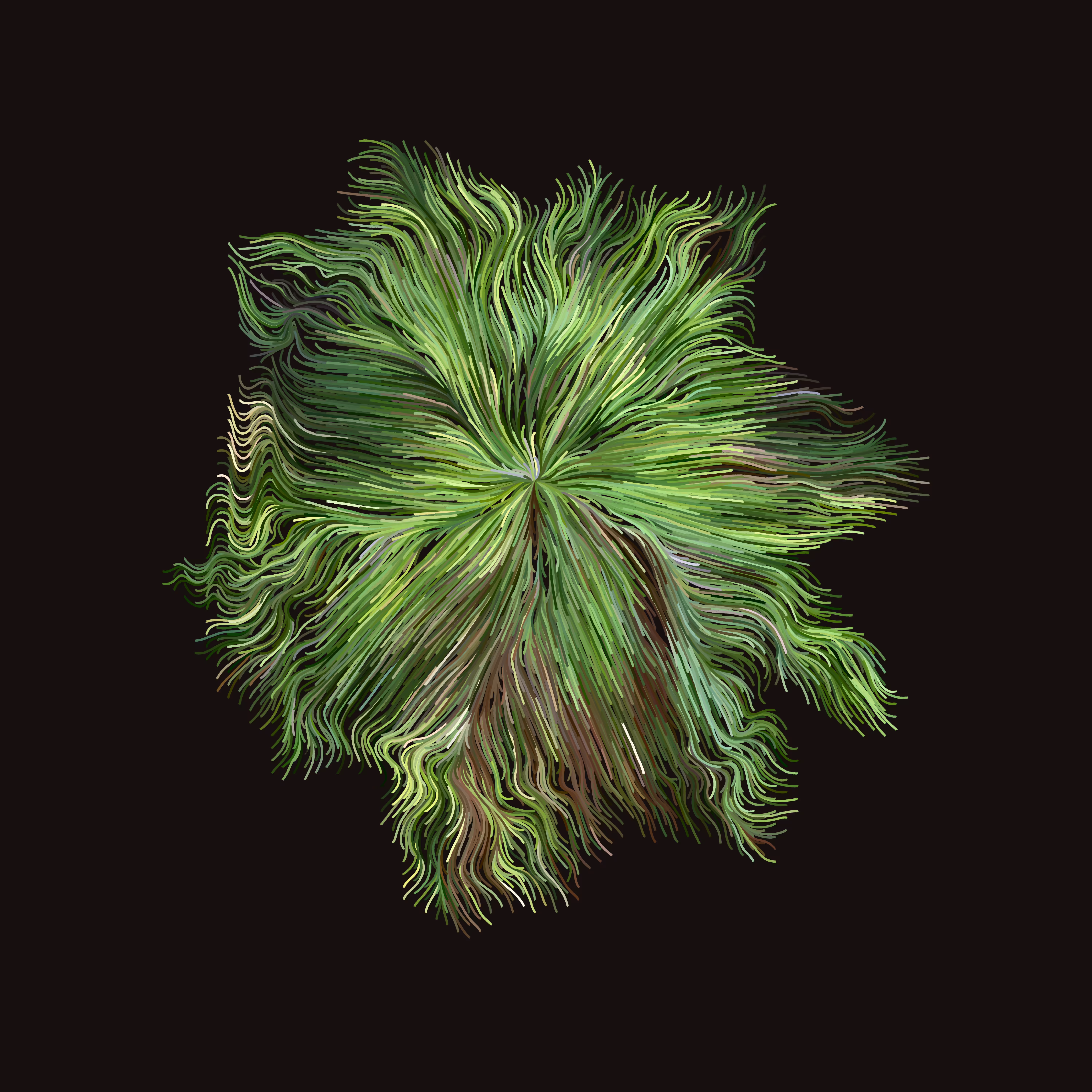 plant spirit