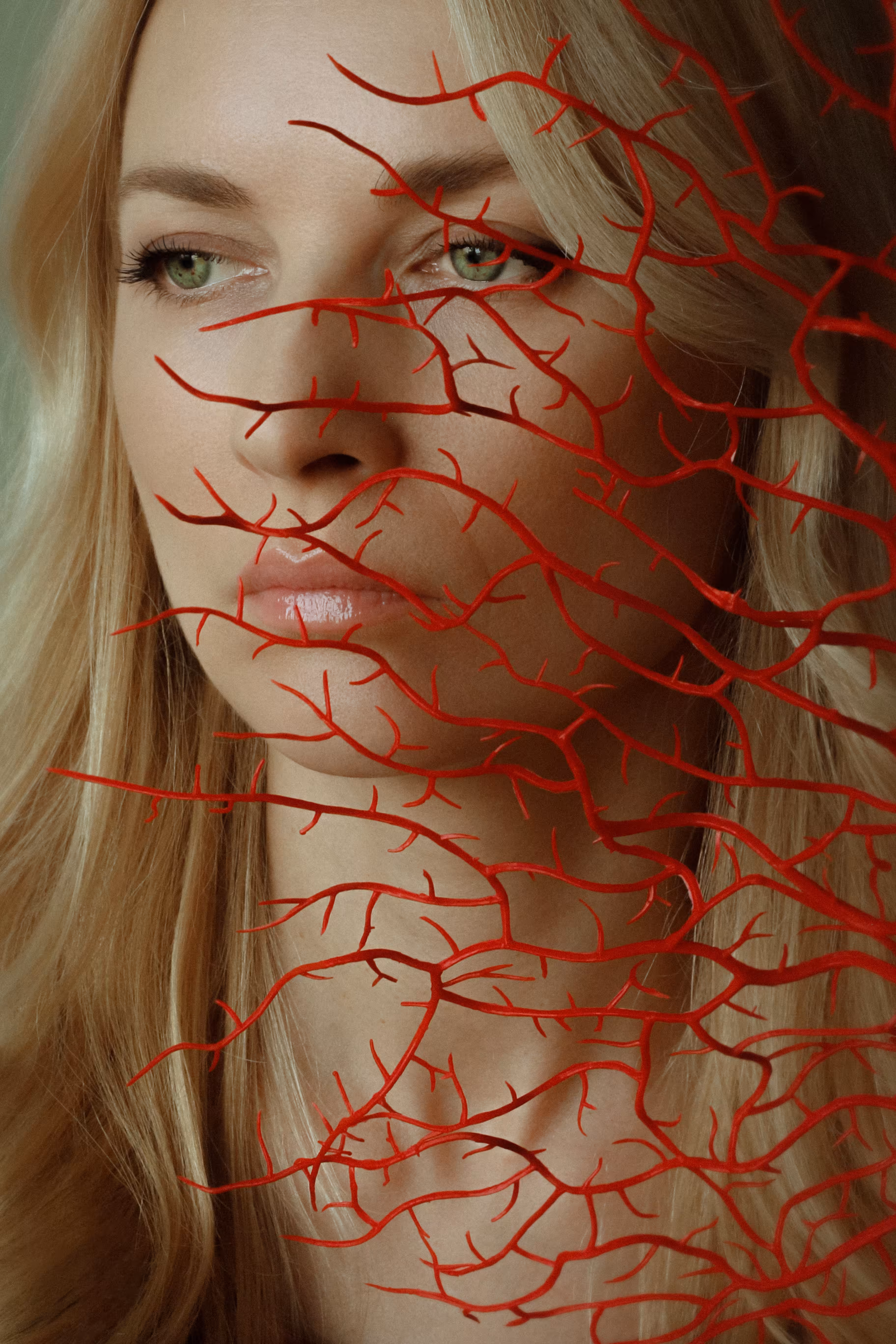 Veins Are Rivers