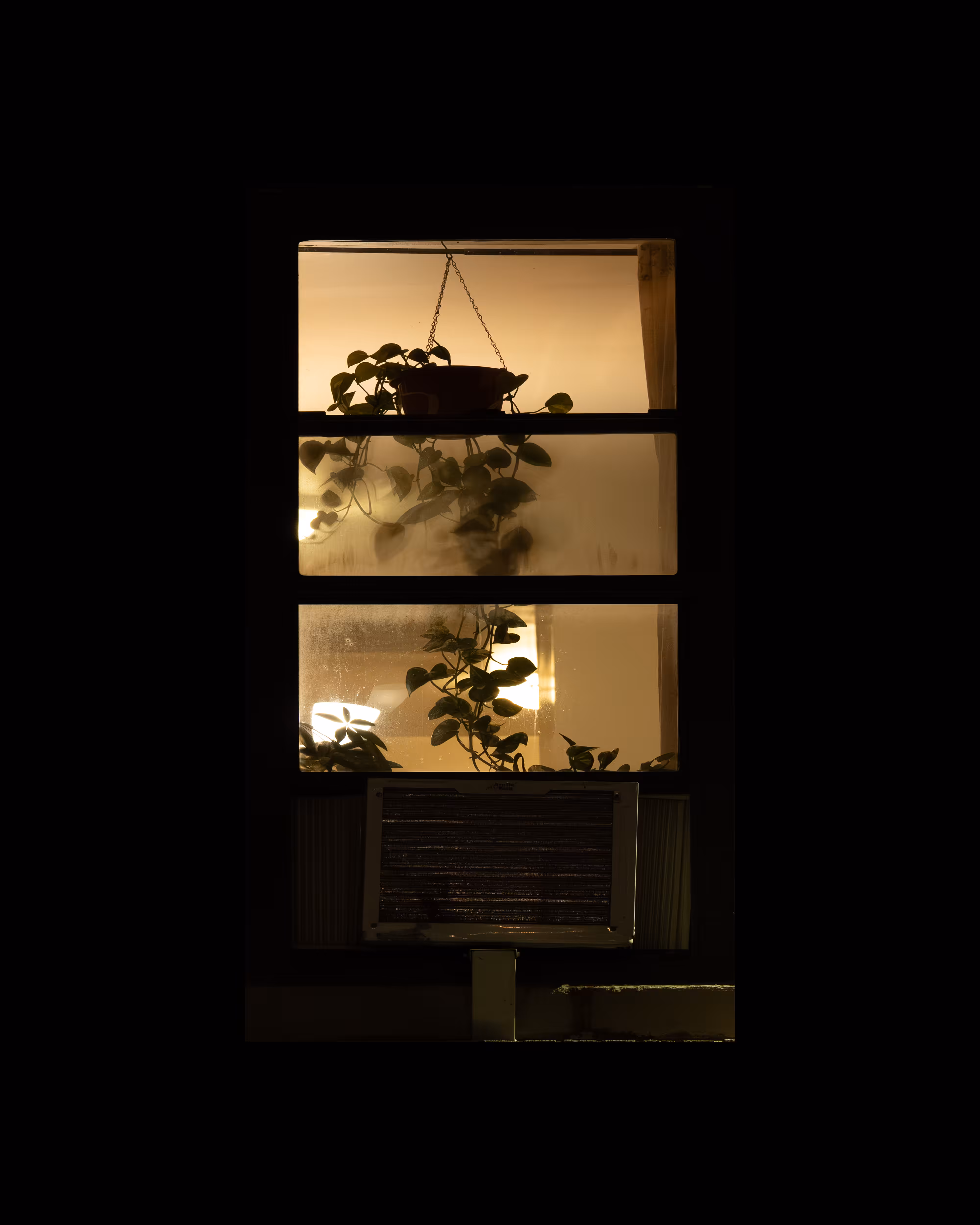 WINDOWS // NYC: WINDOW 363