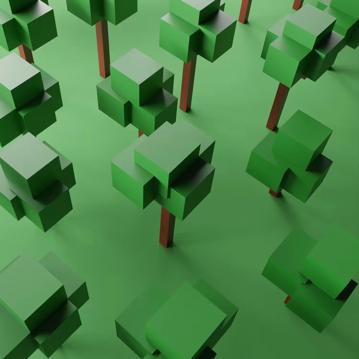 Reforestation