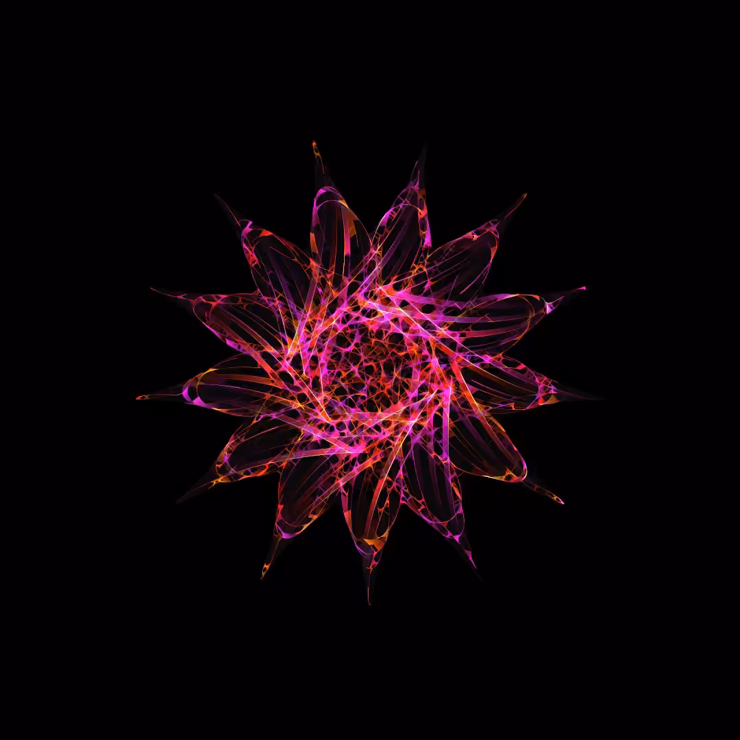 The Never Ending Rose