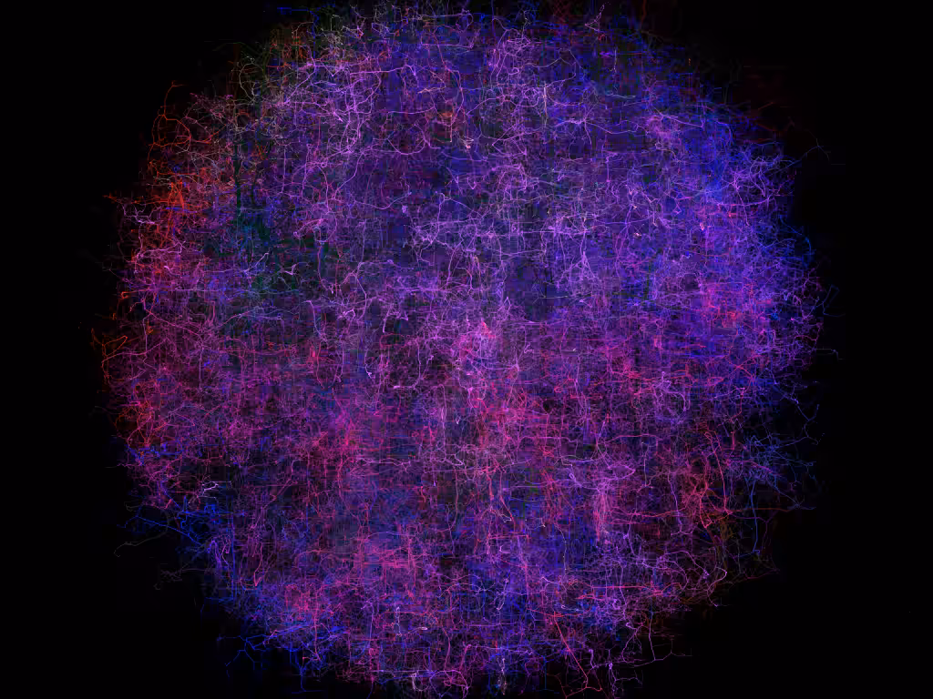 Universe