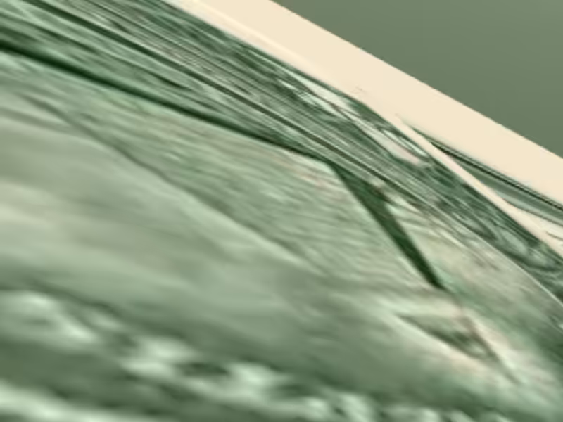 DOLLAR 30