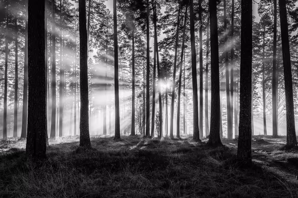 Angelic light