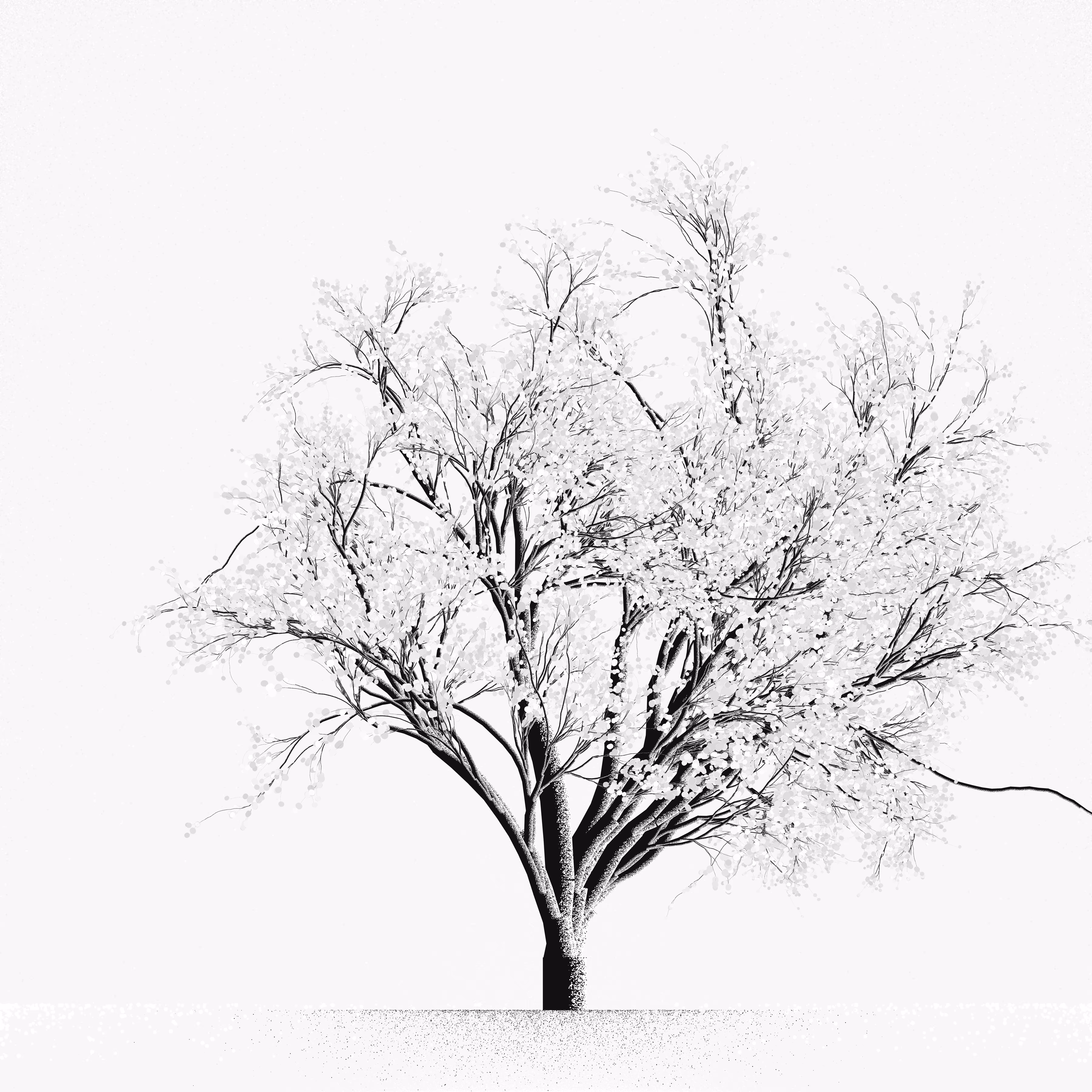 Snow Tree #1