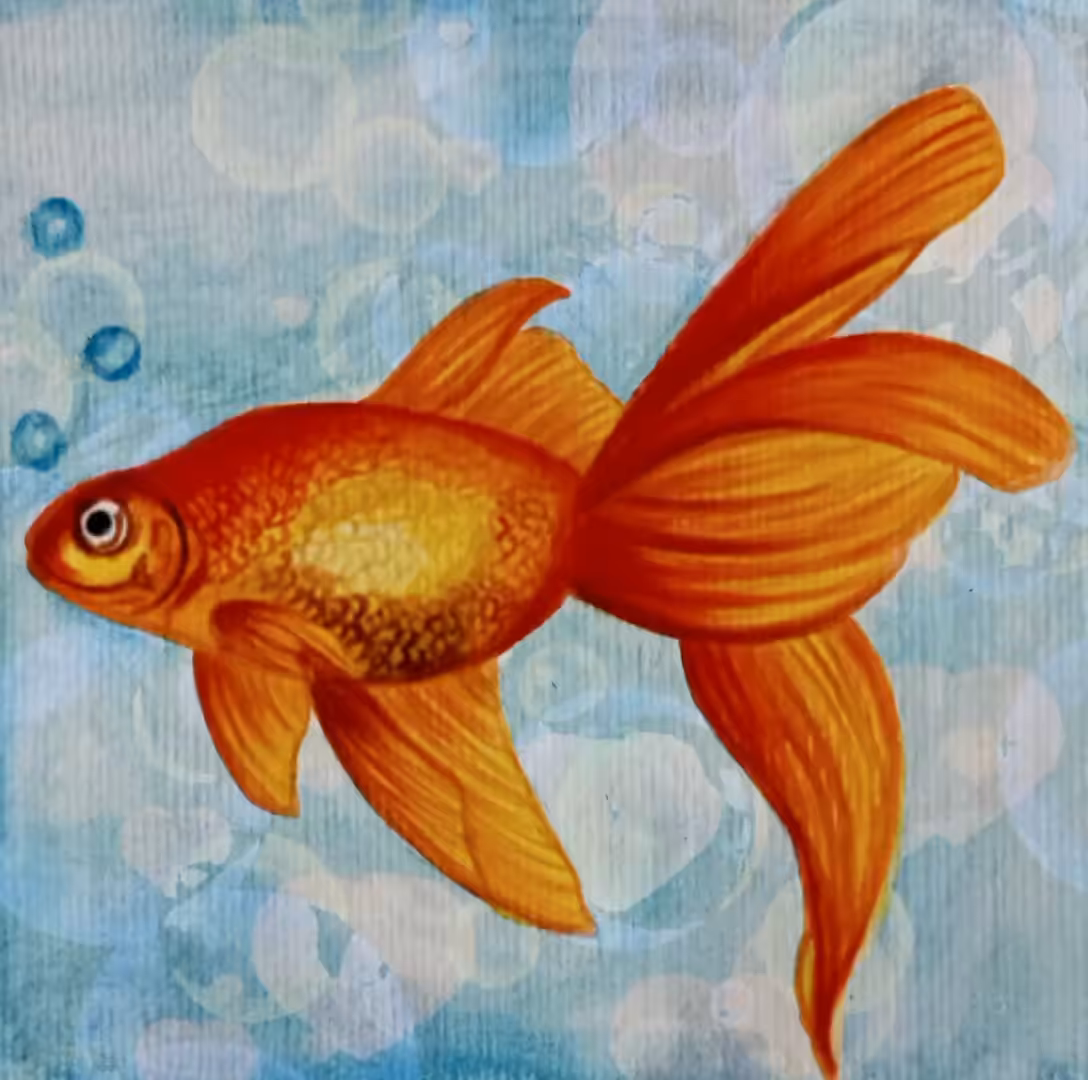 Fish