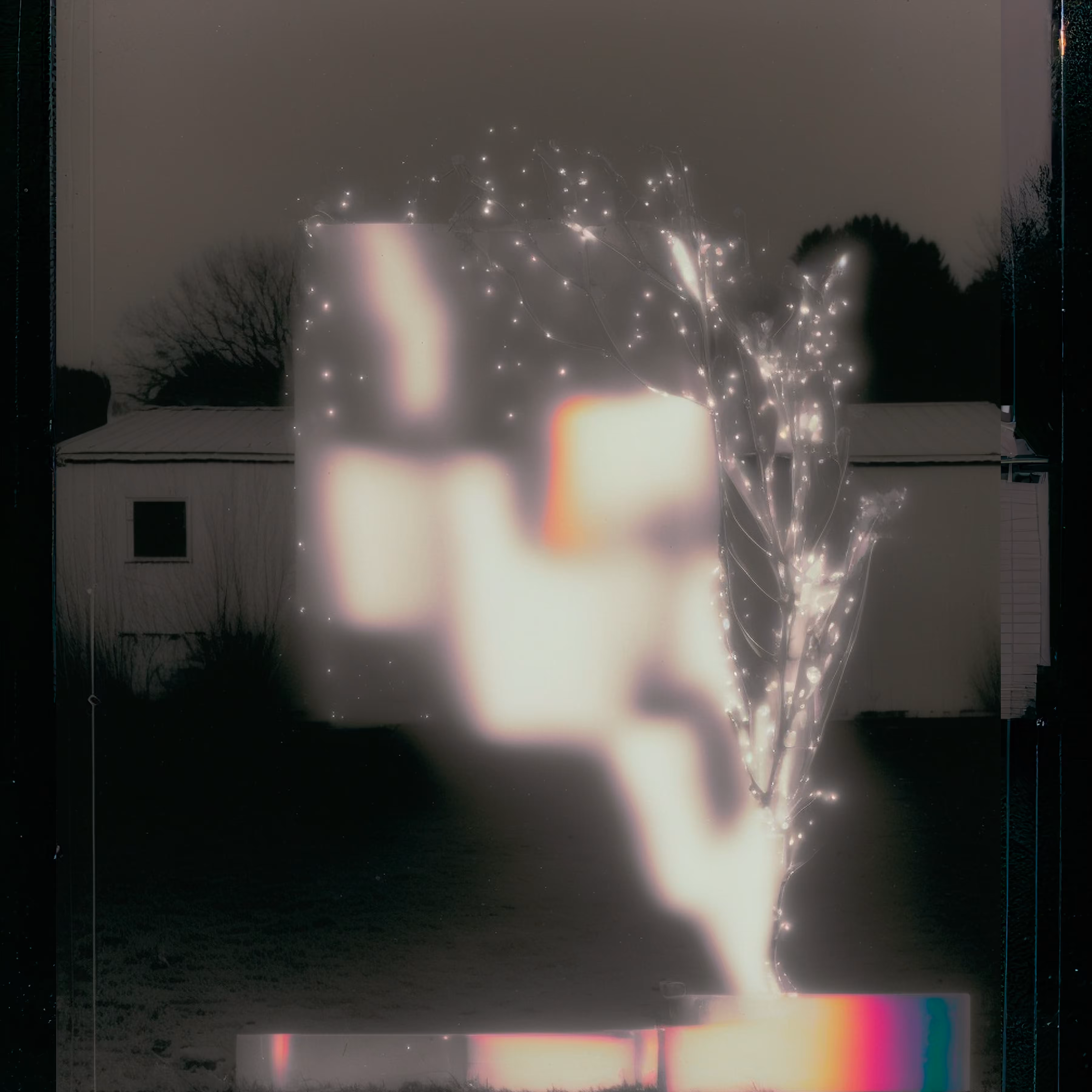 composition: no MMXXIII, with garland and film