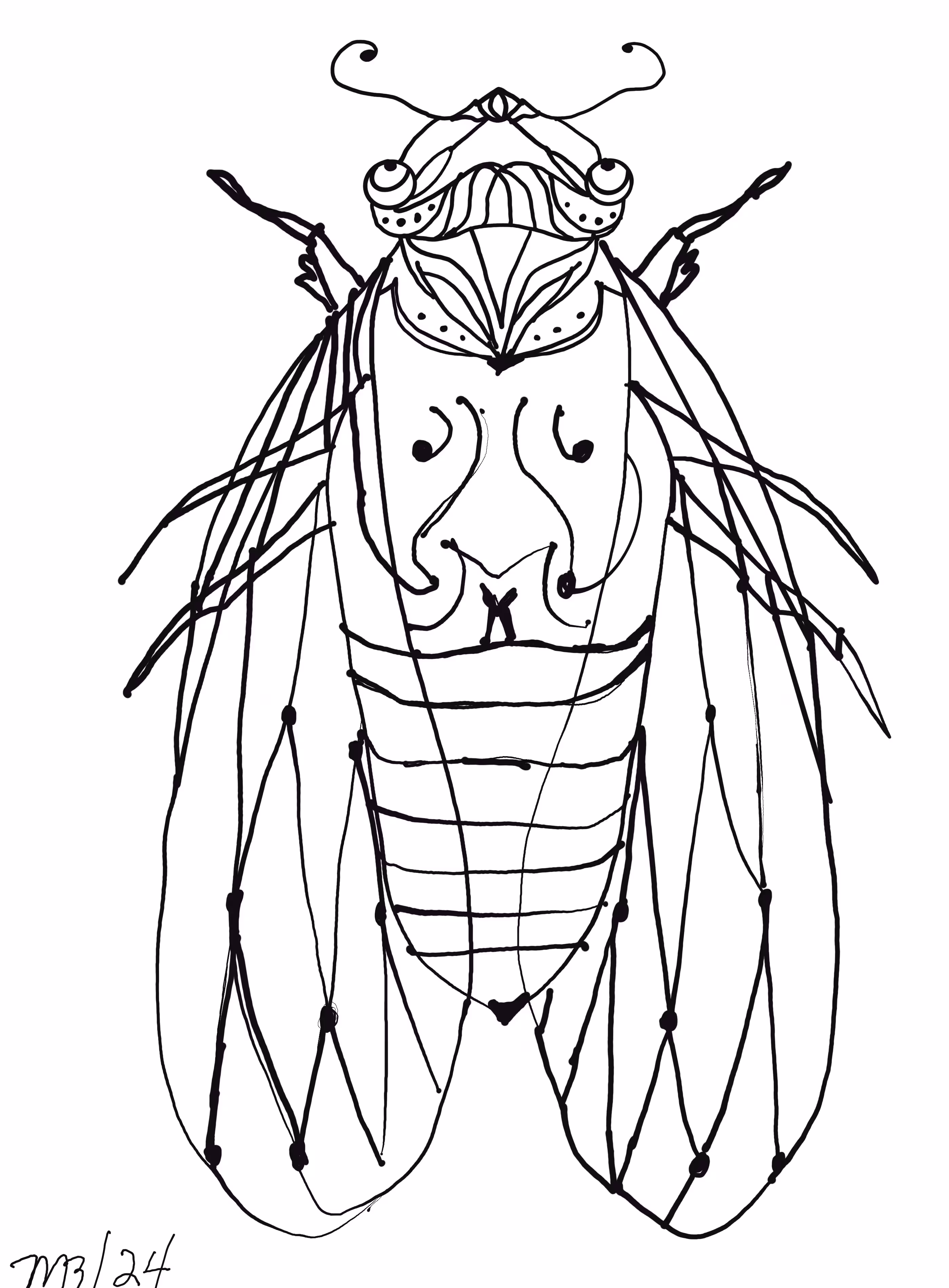 Locust Drawing