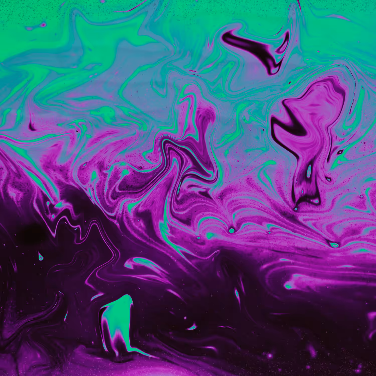 Mushroom Paradox