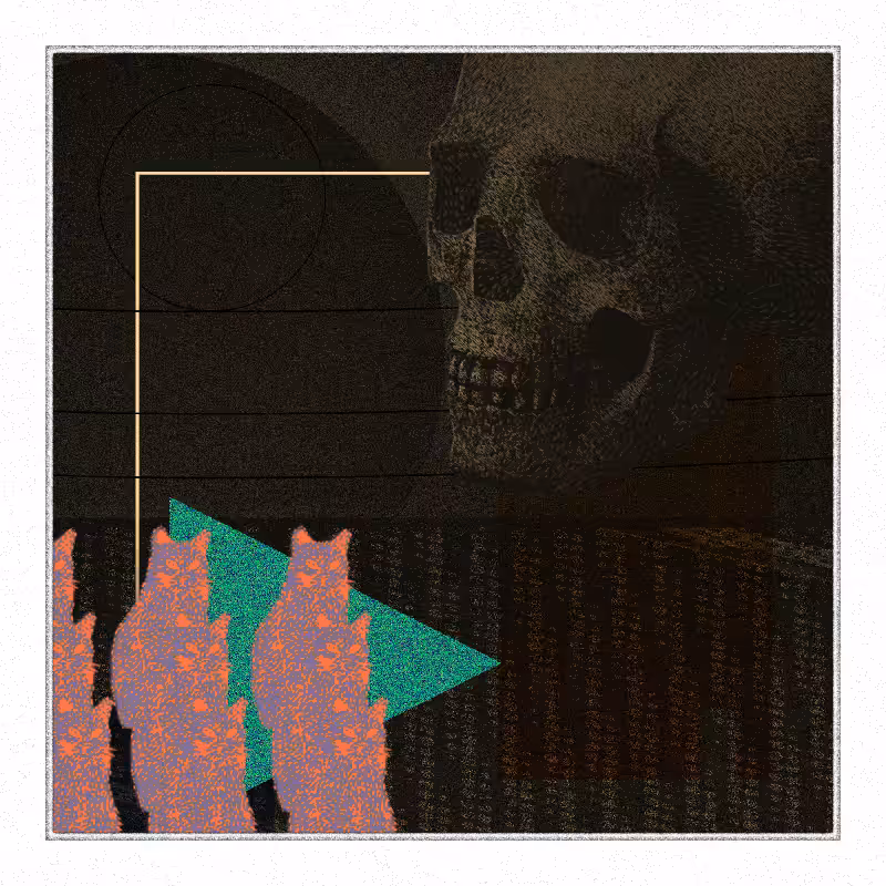 Salem #11