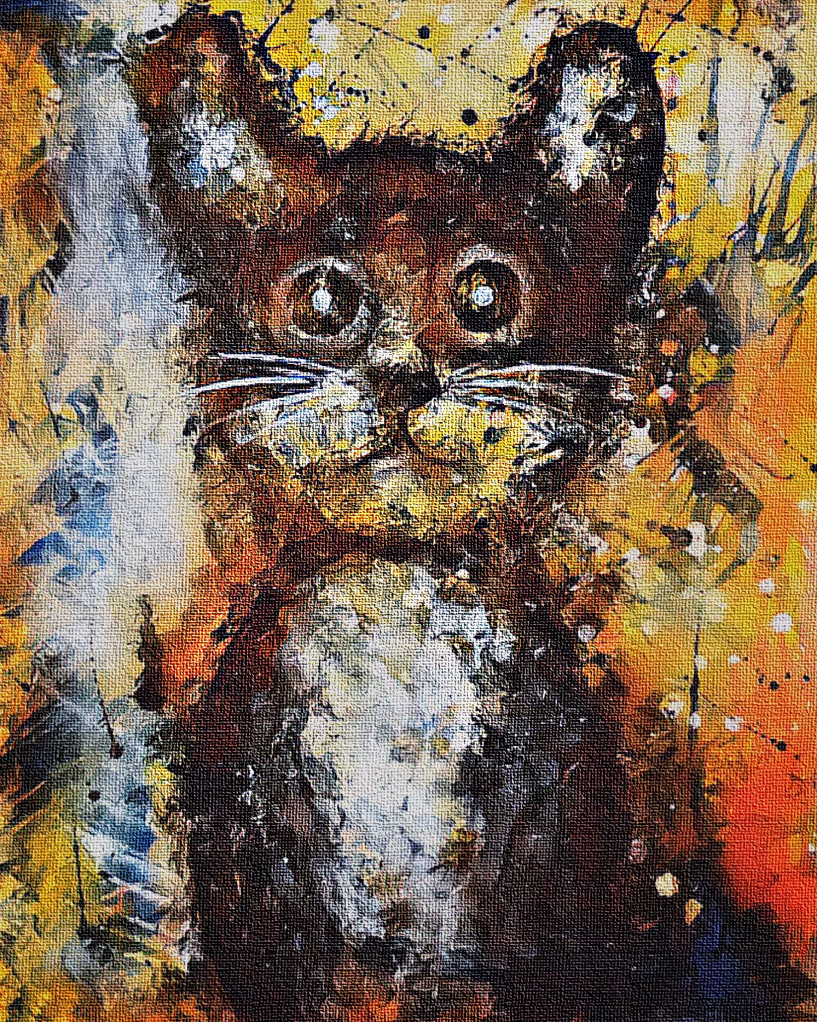 cat portrait
