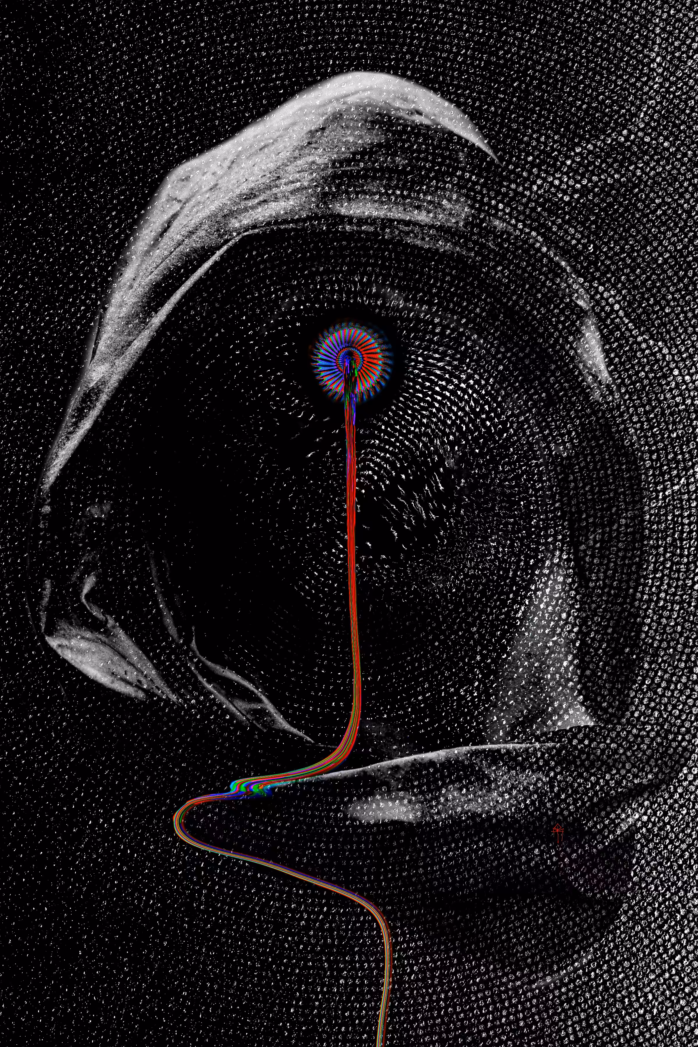 The Abysmal Eye