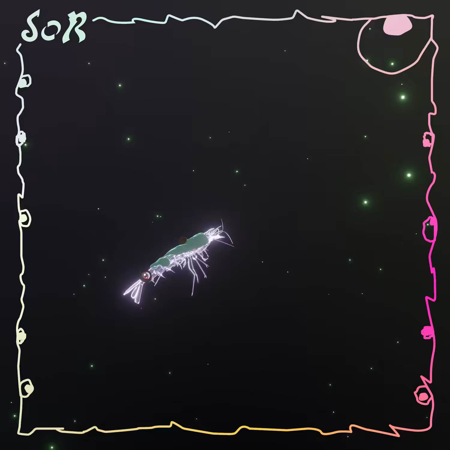 Shrimp #606