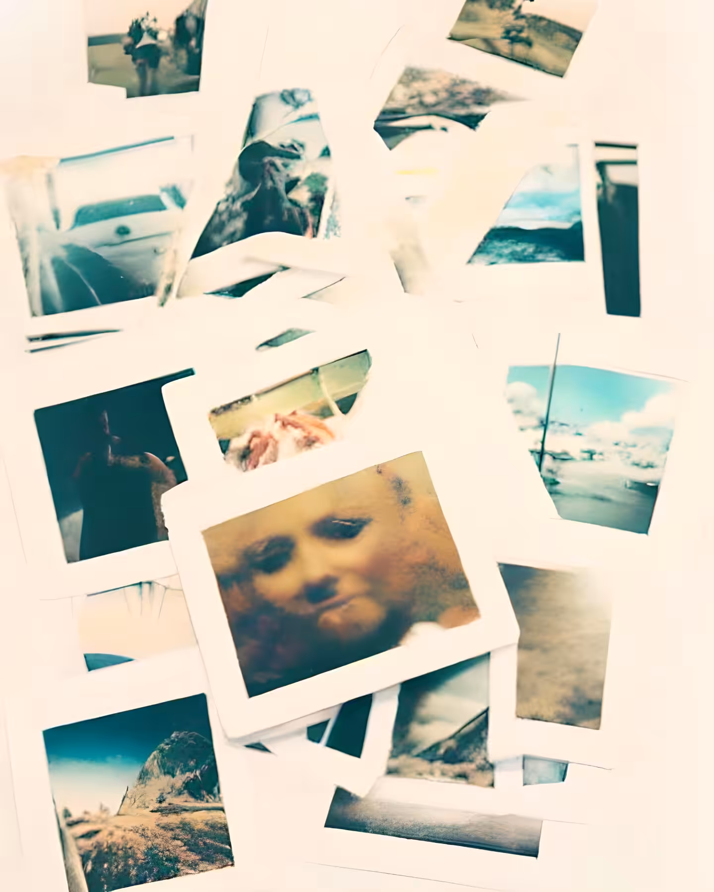 Polaroid #19