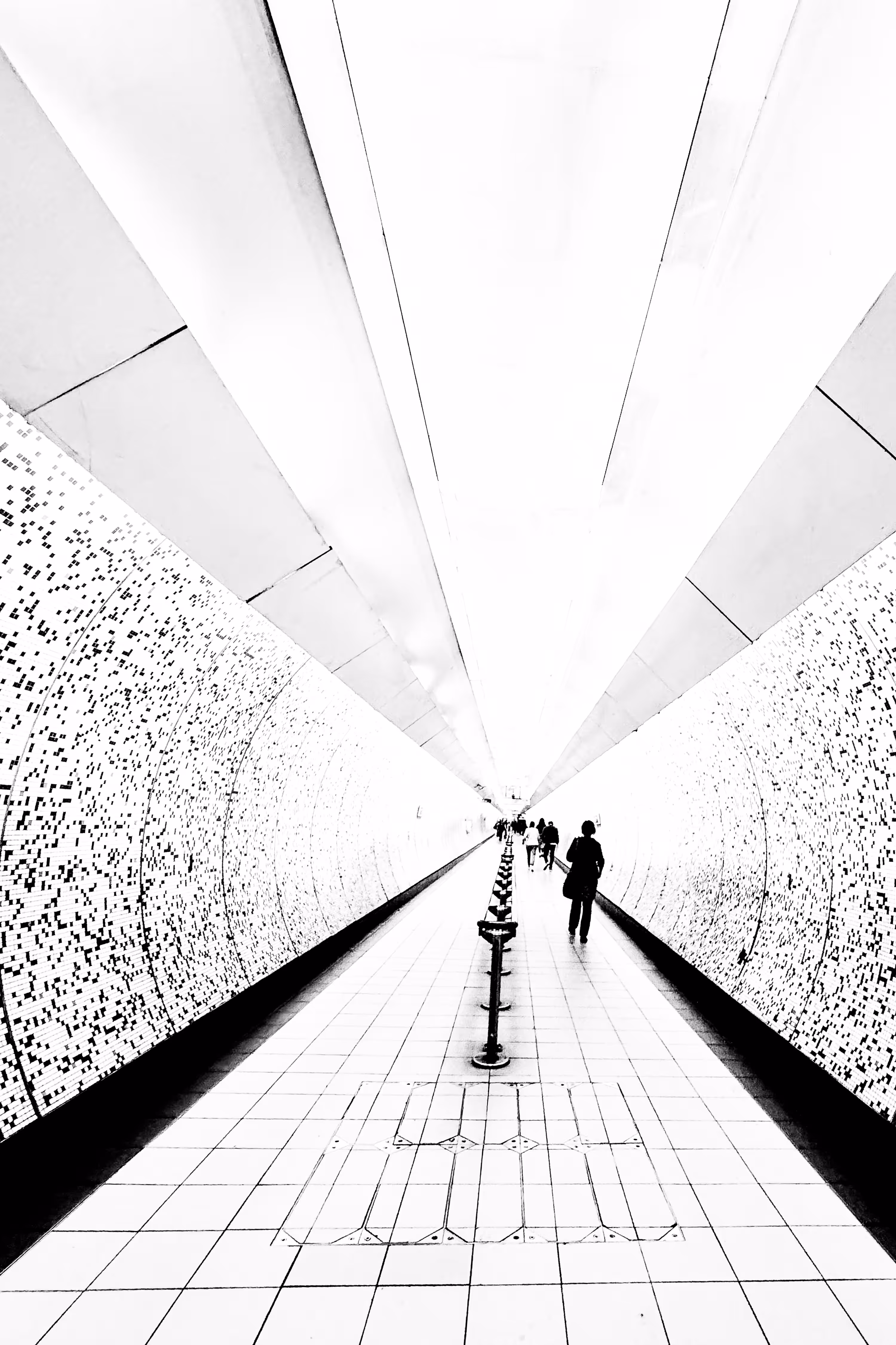 towards THE light