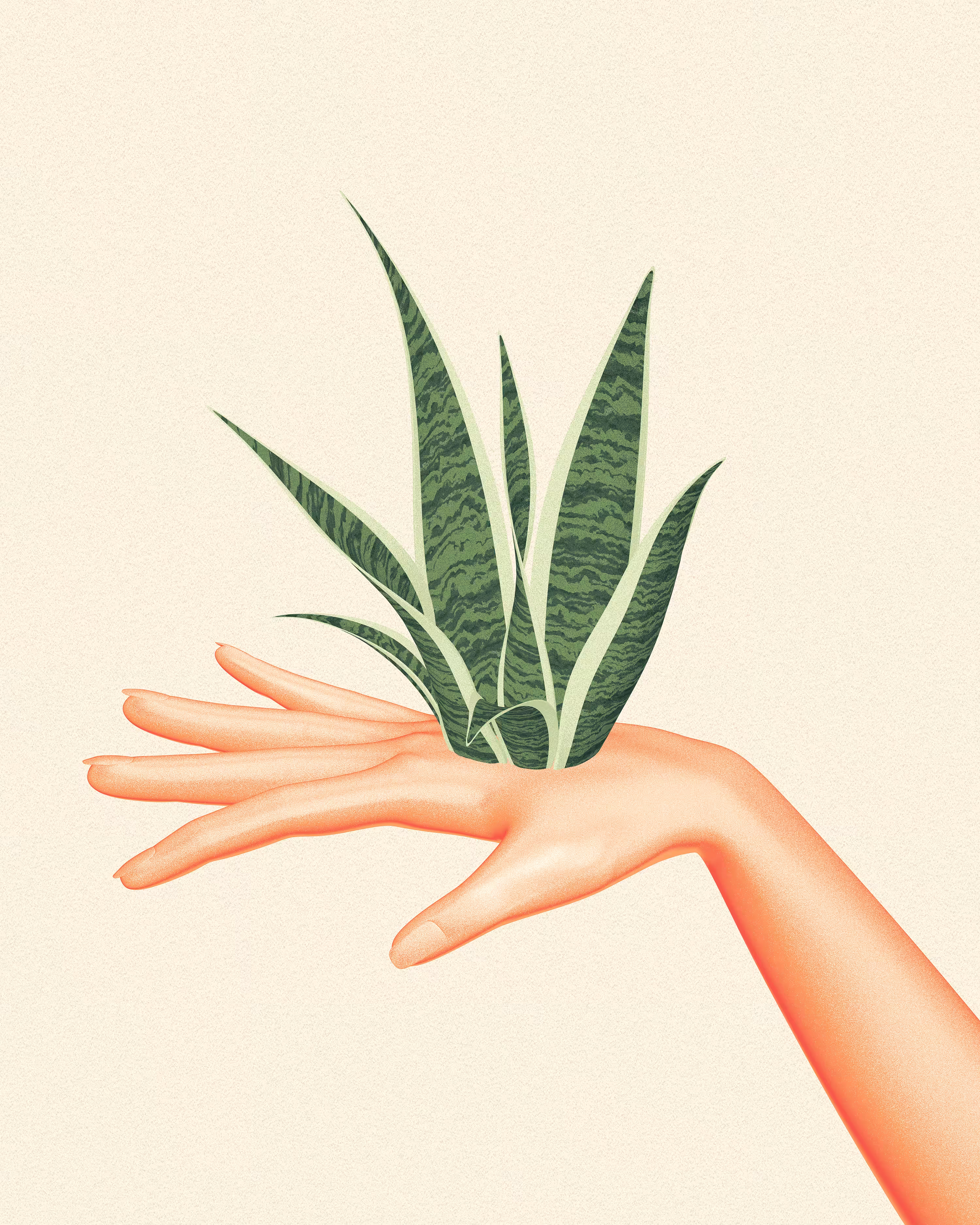 Growth