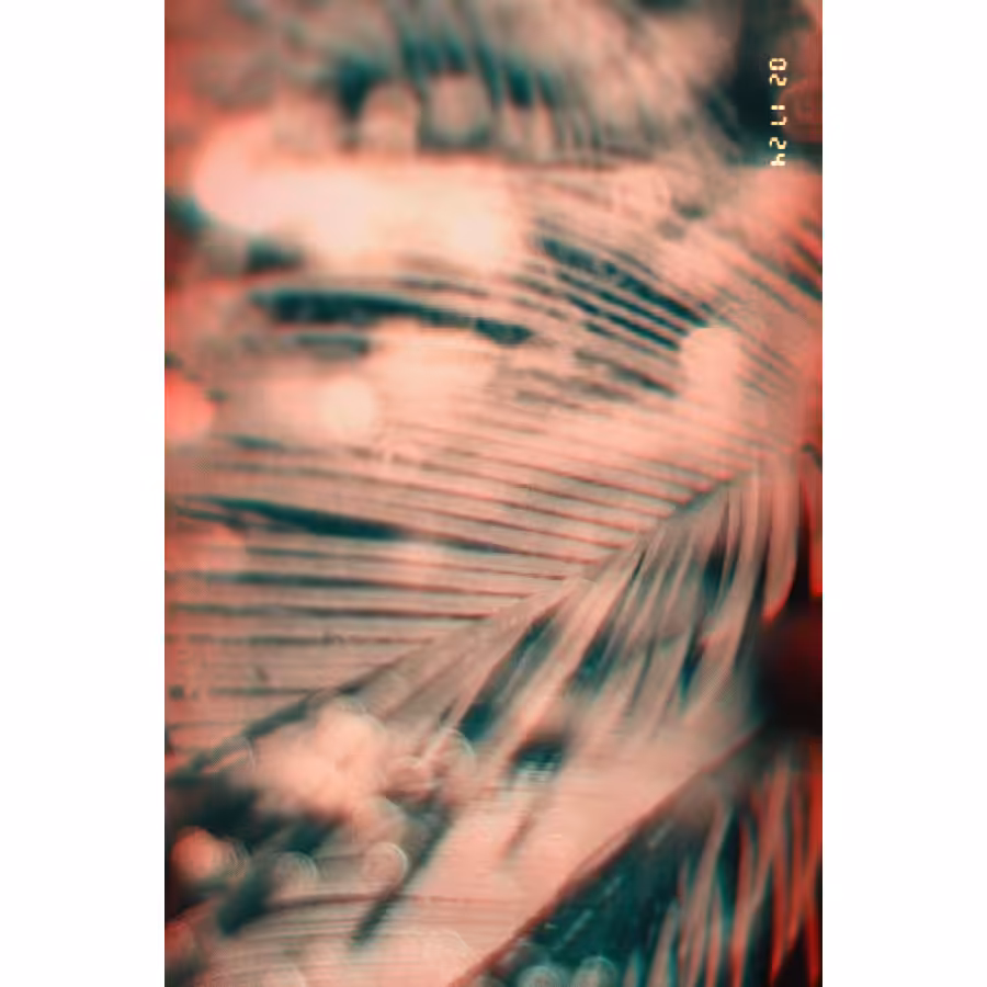 Diaries #69