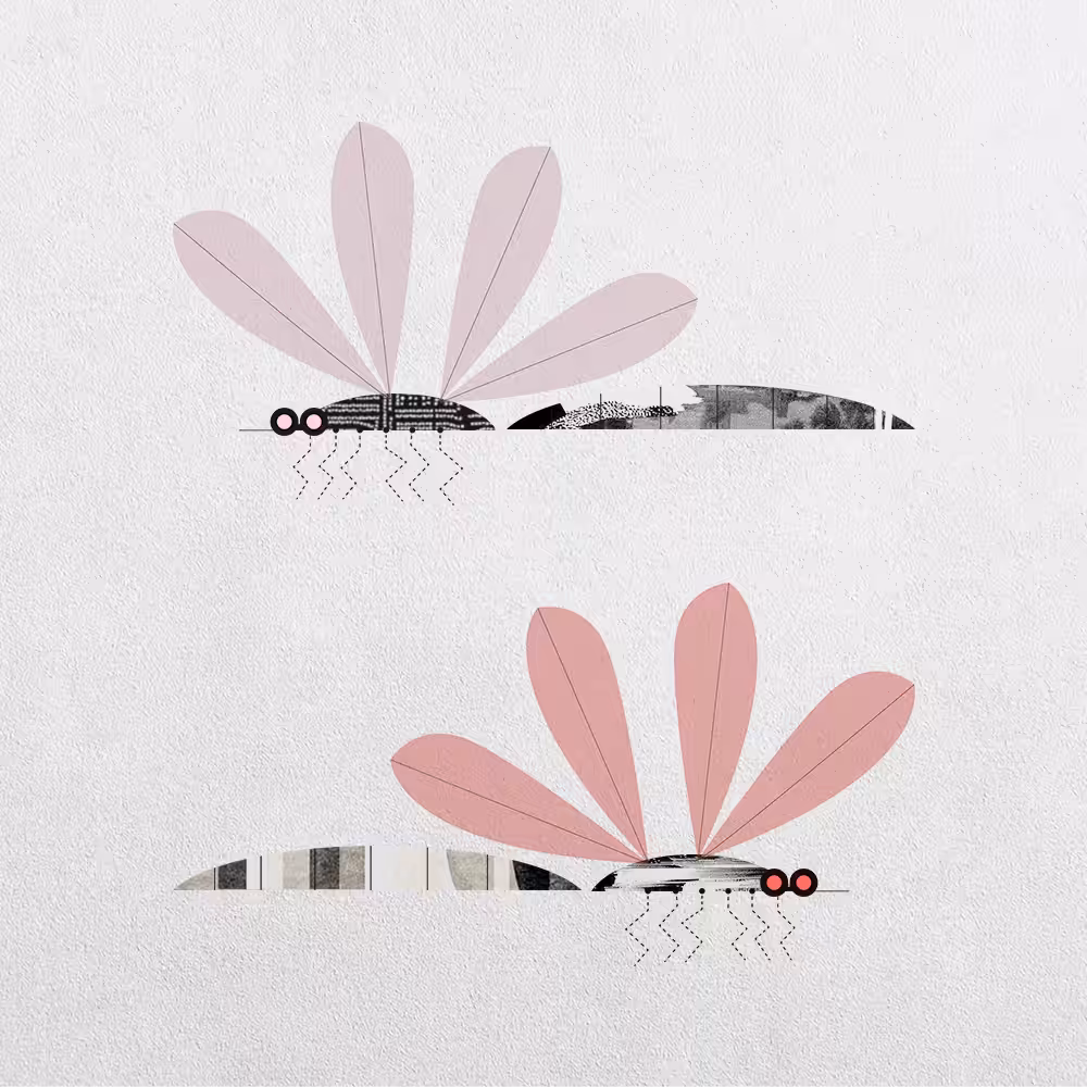 Mosquito Abstraction #11