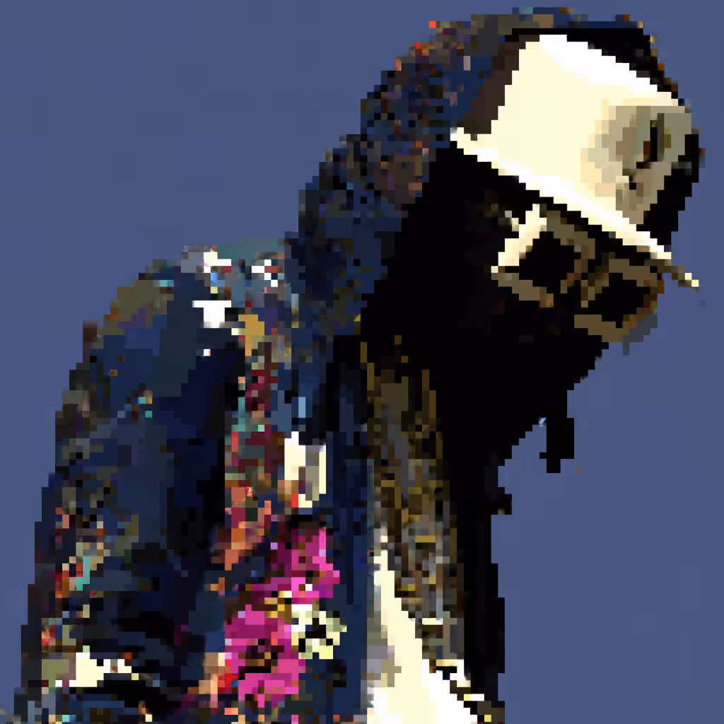 𝔢𝔳𝔞𝔡𝔢𝔯 5658