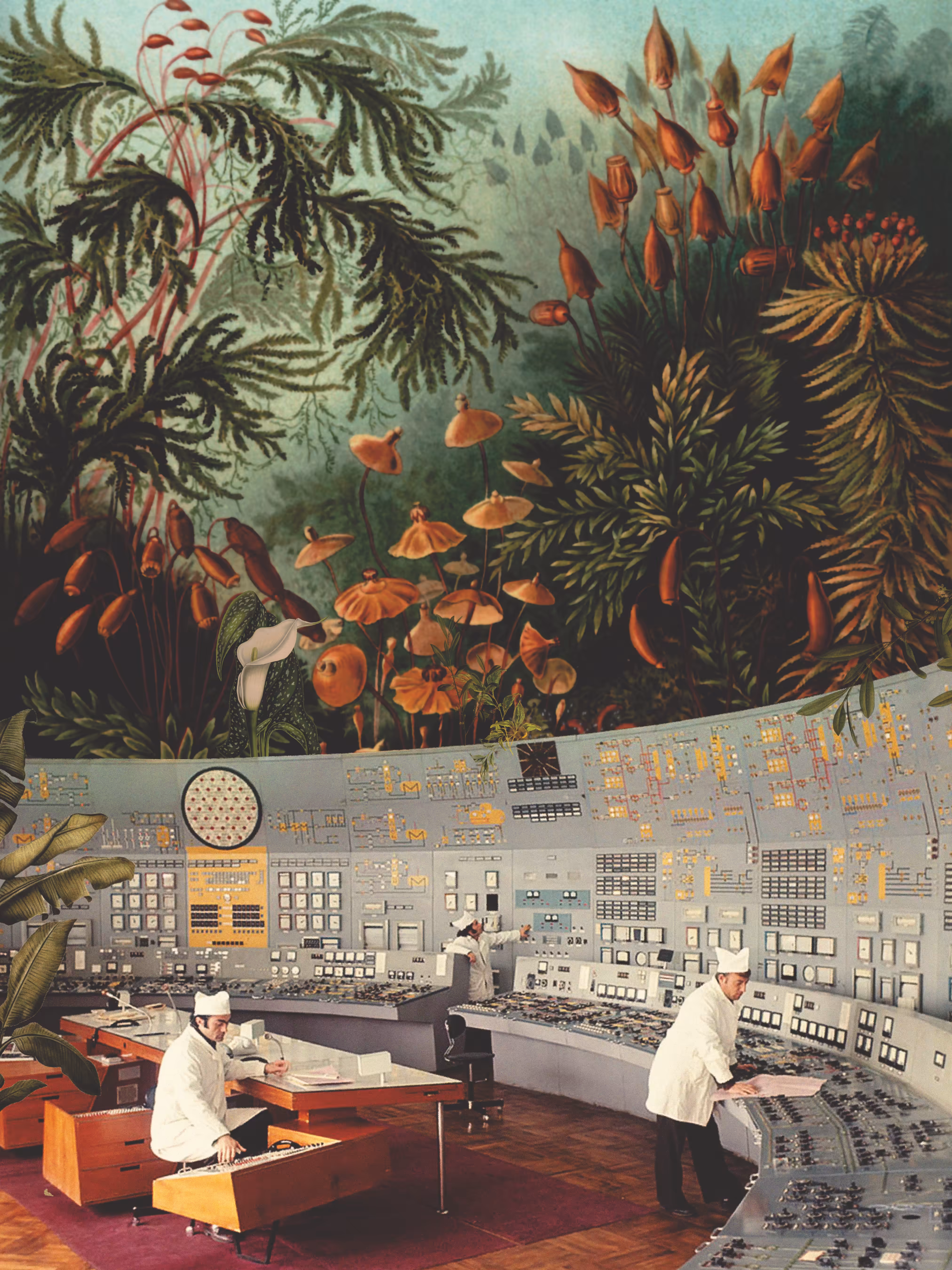 Natural science 