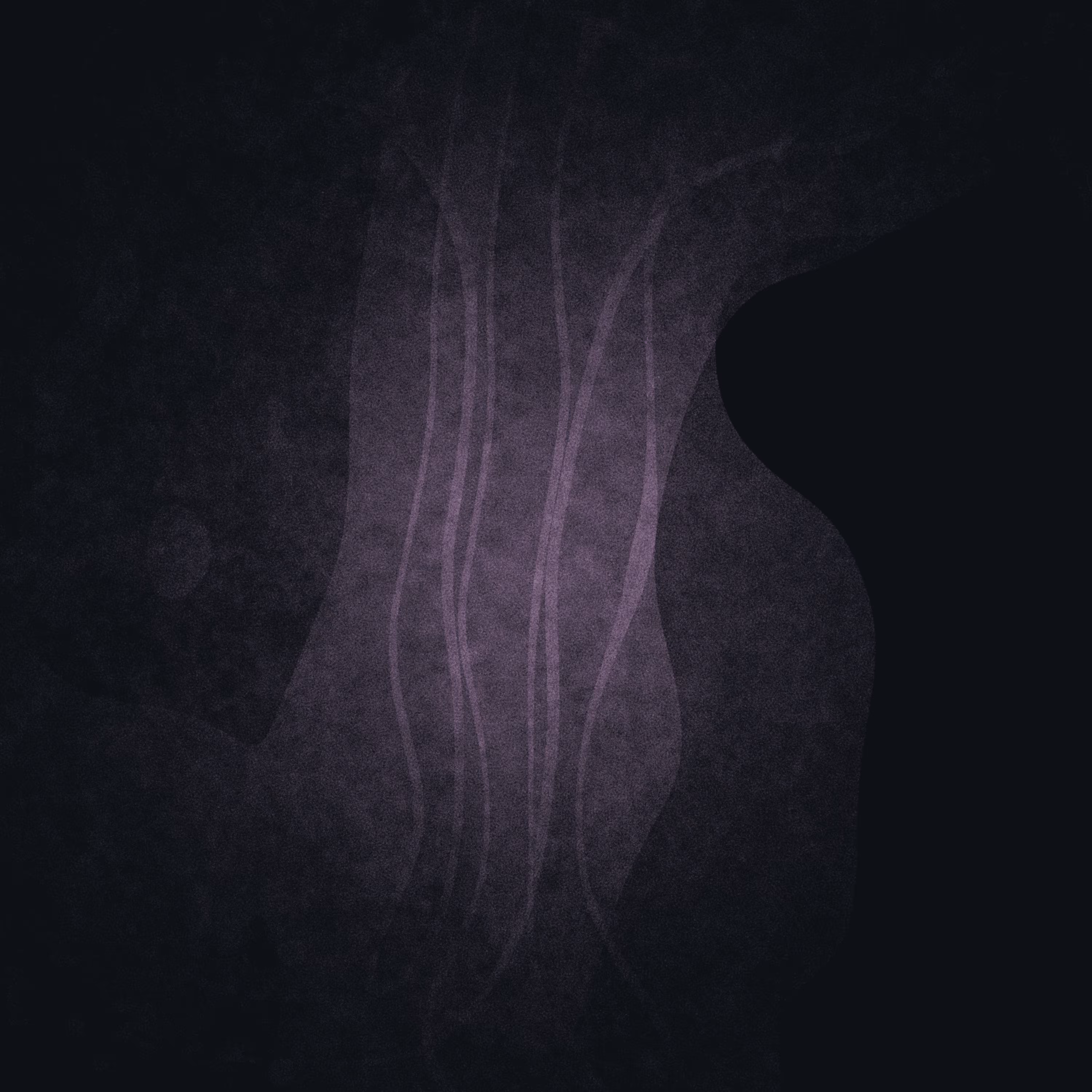 Beyond Dichotomy  #71