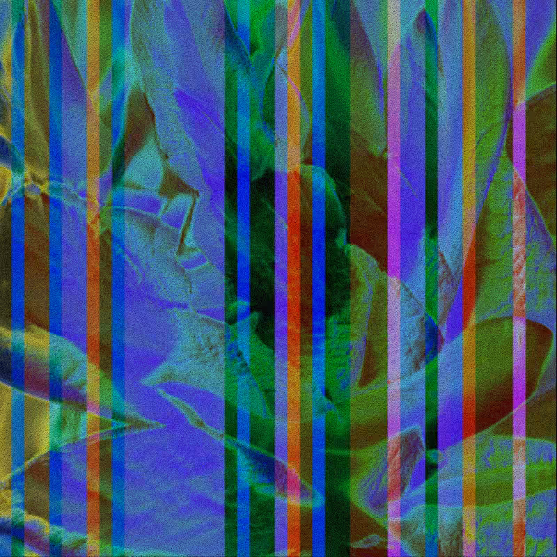CLDCSMC #34