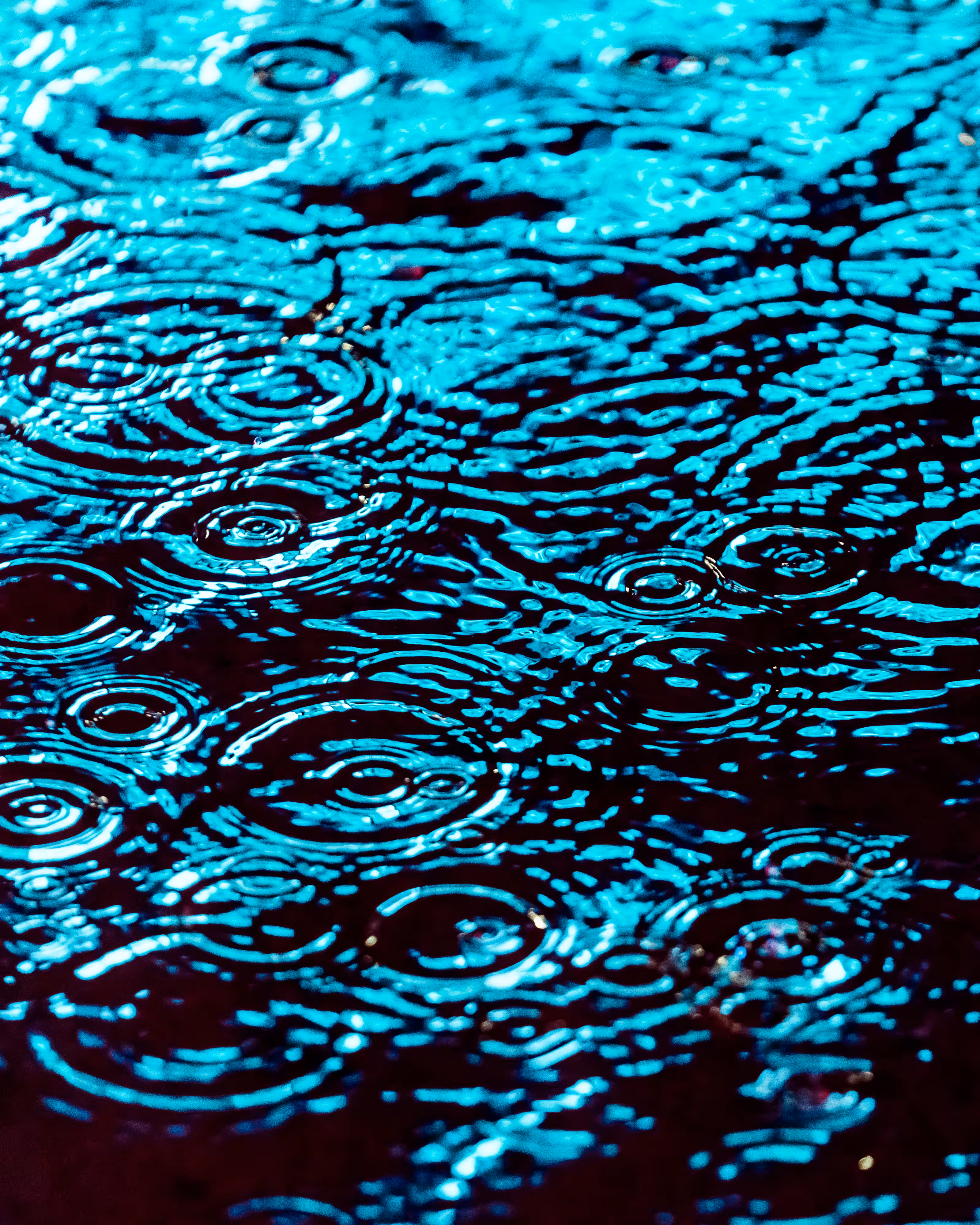 DRIP DROP: DRIP #42