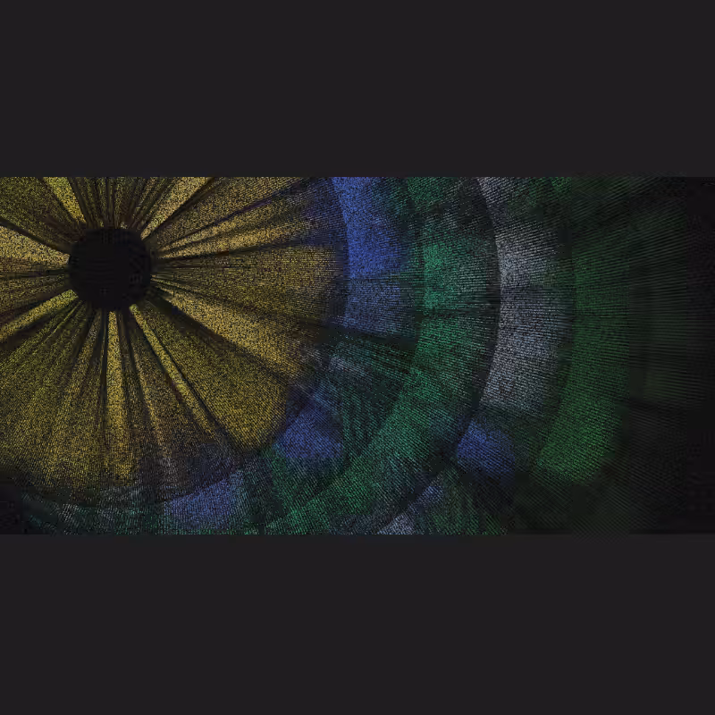 Chameleon #25