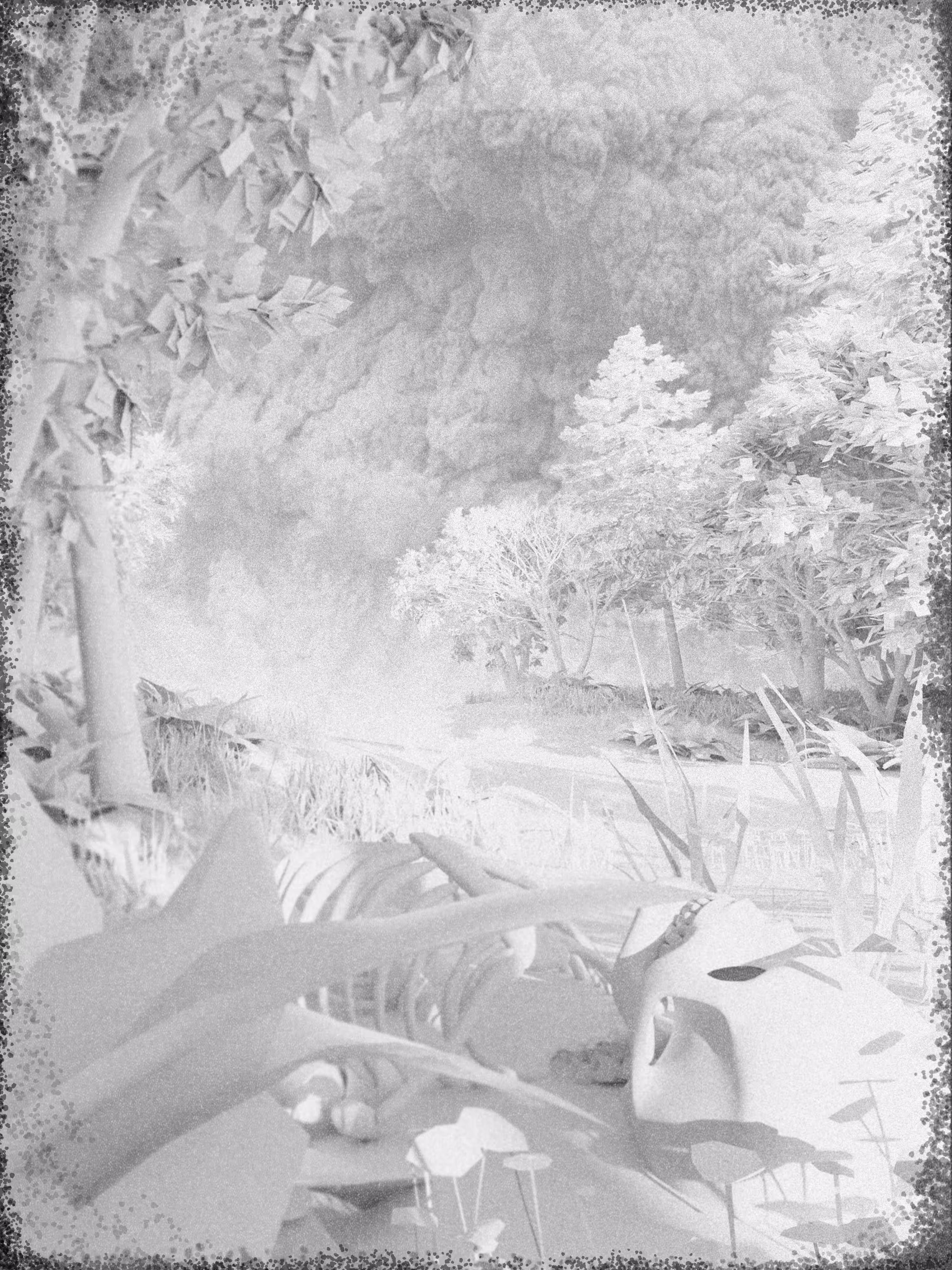 UNTITLED HOPE