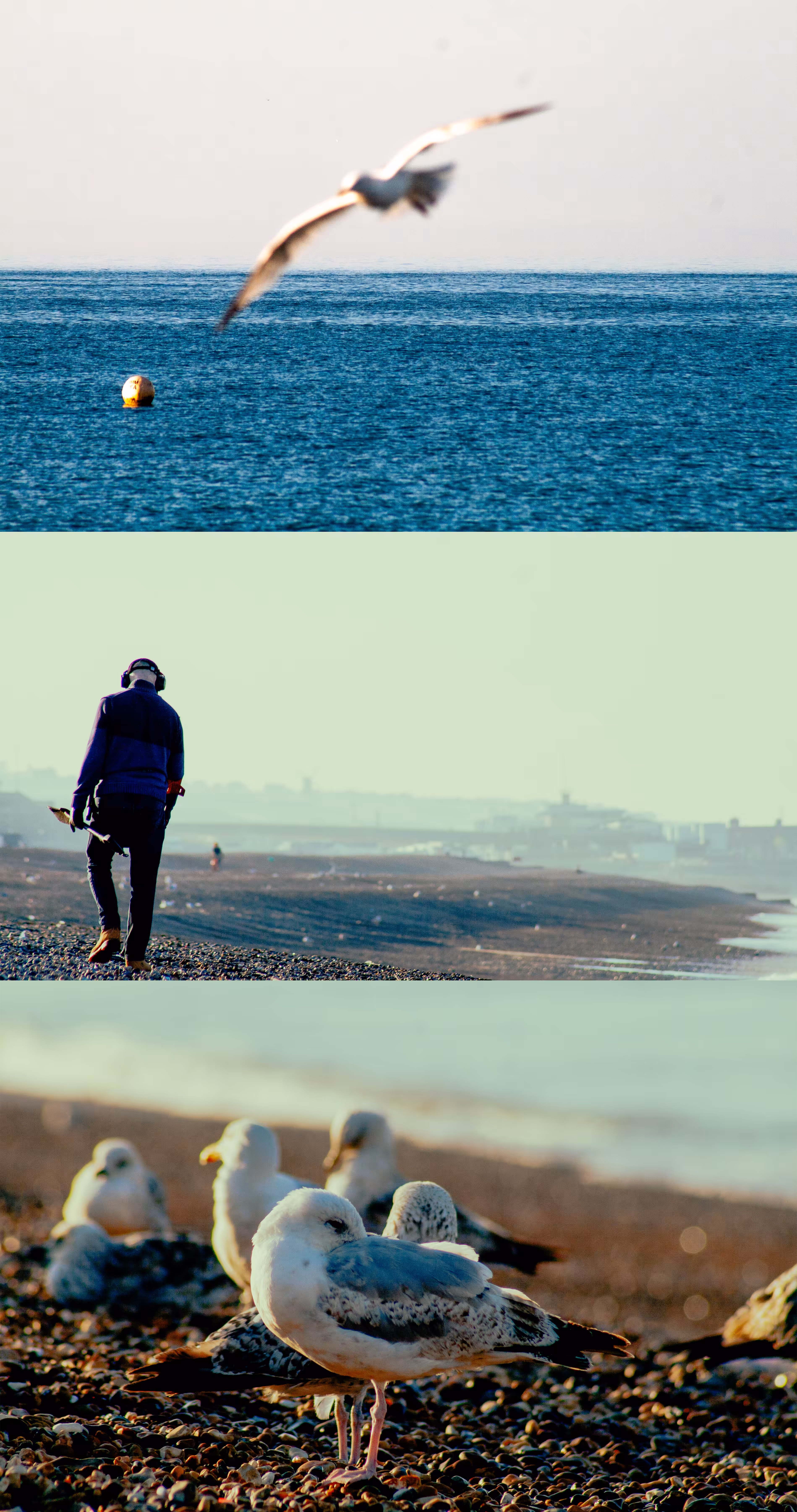 Brighton Beach Sunrise Triptych | Landscapes