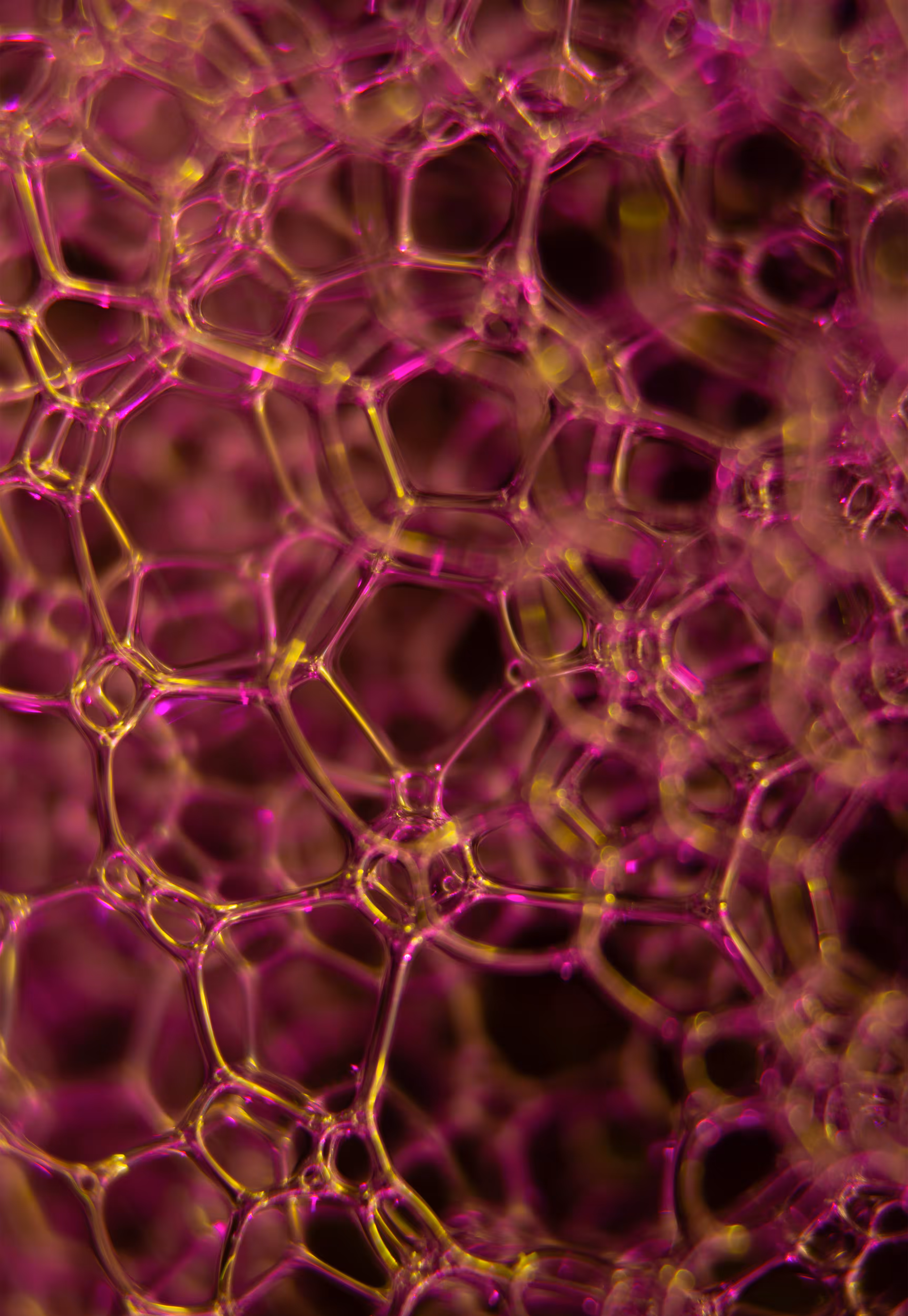 Abstract World of Soap Bubbles: #19 Bubbles