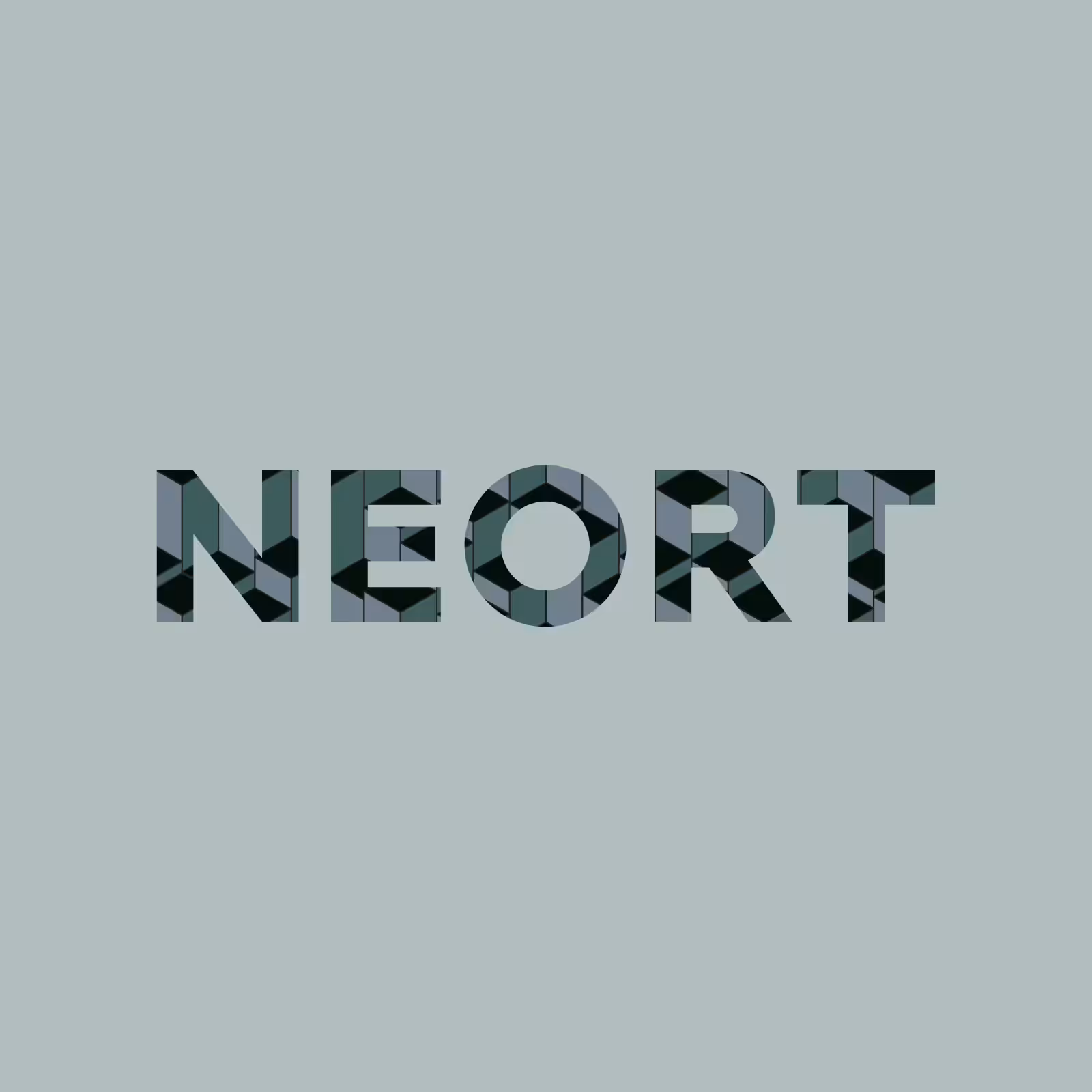 NEORT Vessel 2