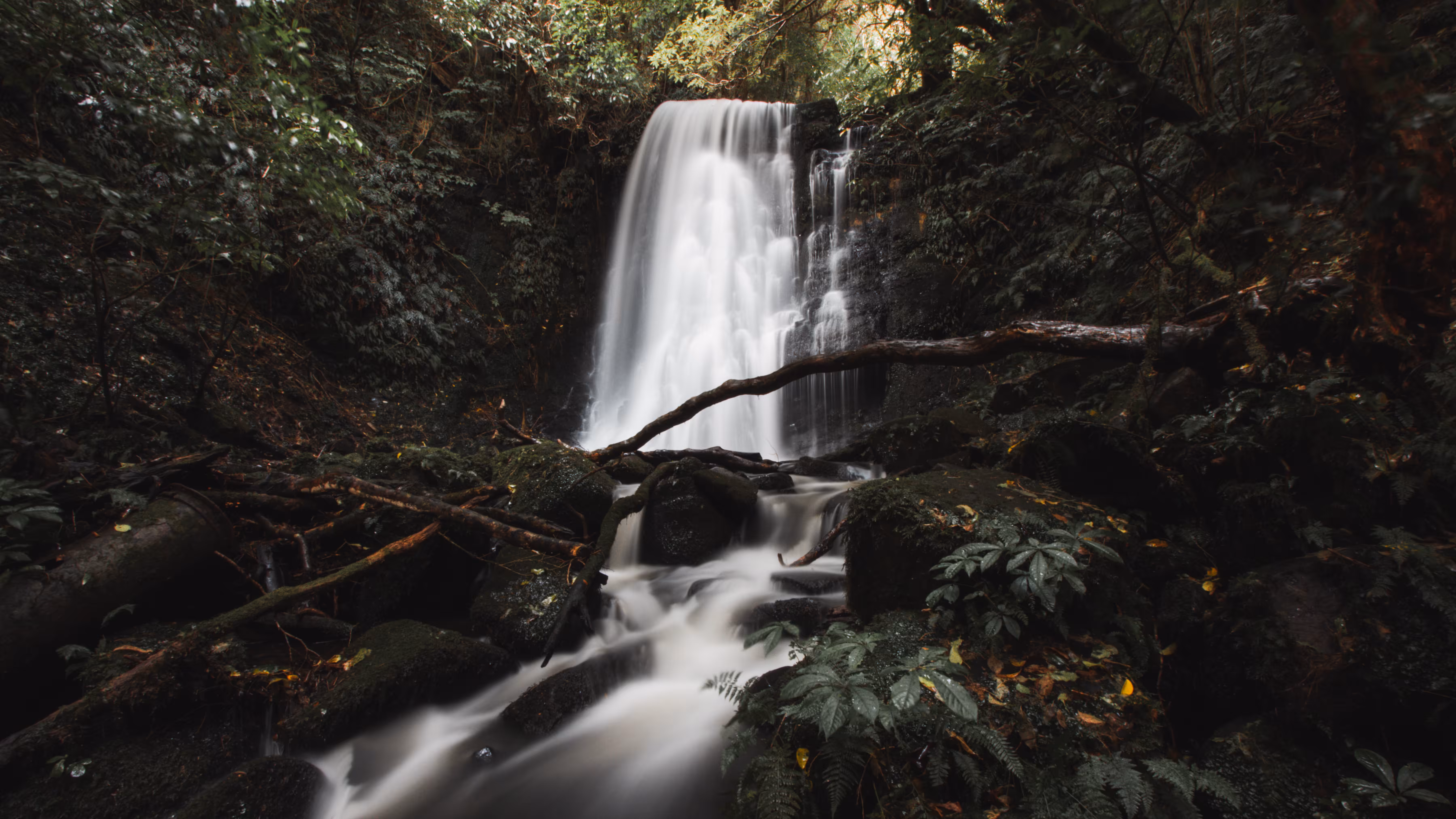 Secret Water Fall