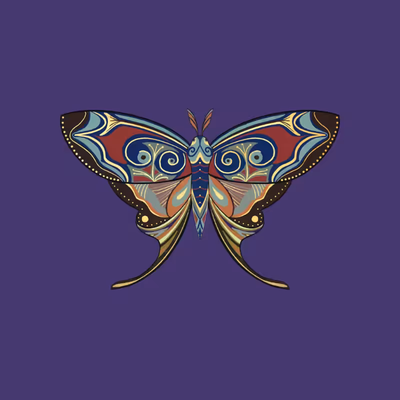 The Moth Experiment - Special Edition #19