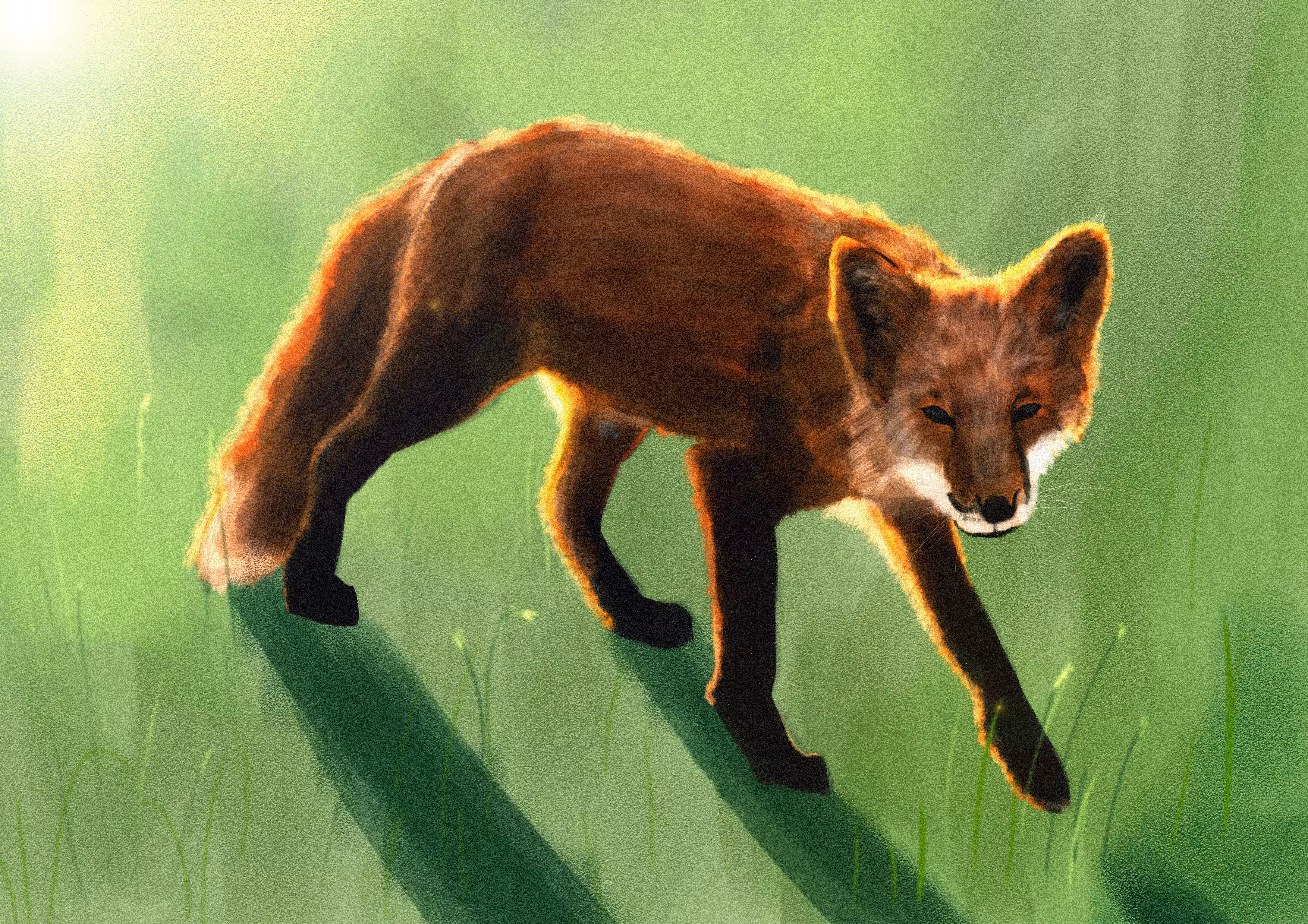 Be smart like the fox
