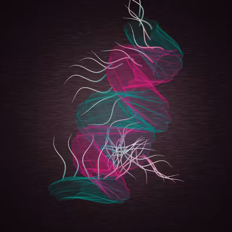 Flimsy #27