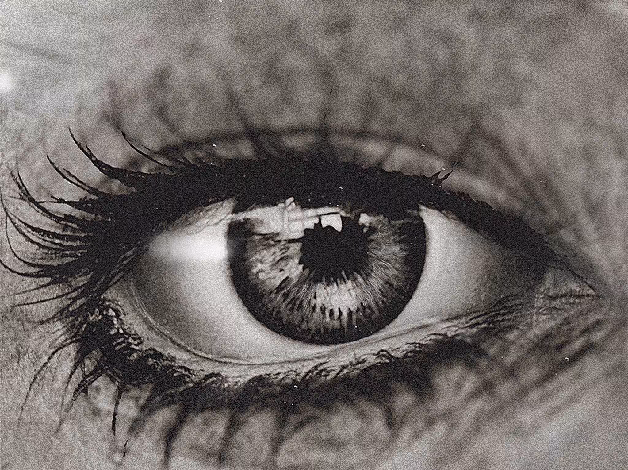 Path of Gaze