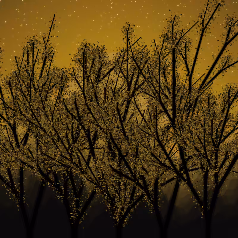 Black Forest #38