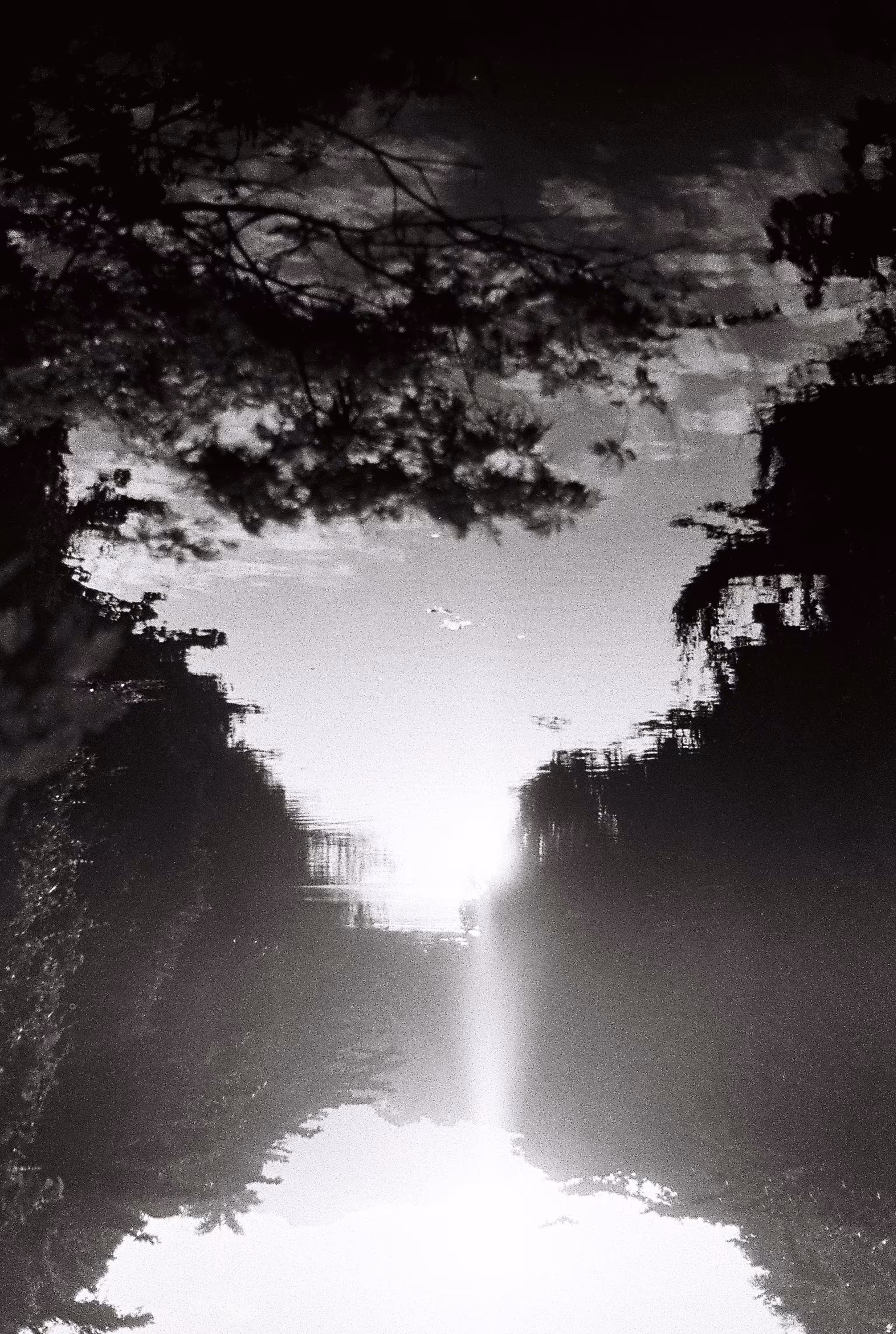 Reflected Sky